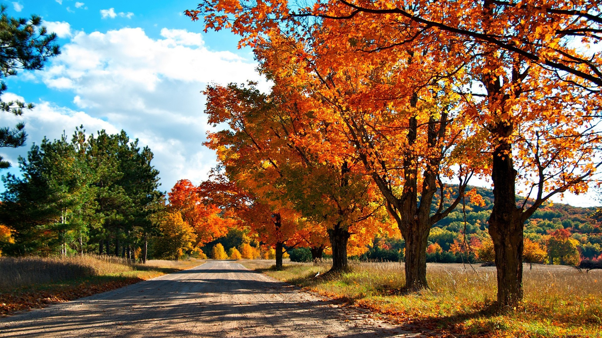 природа, дороги, деревья, осень, проселочная, дорога