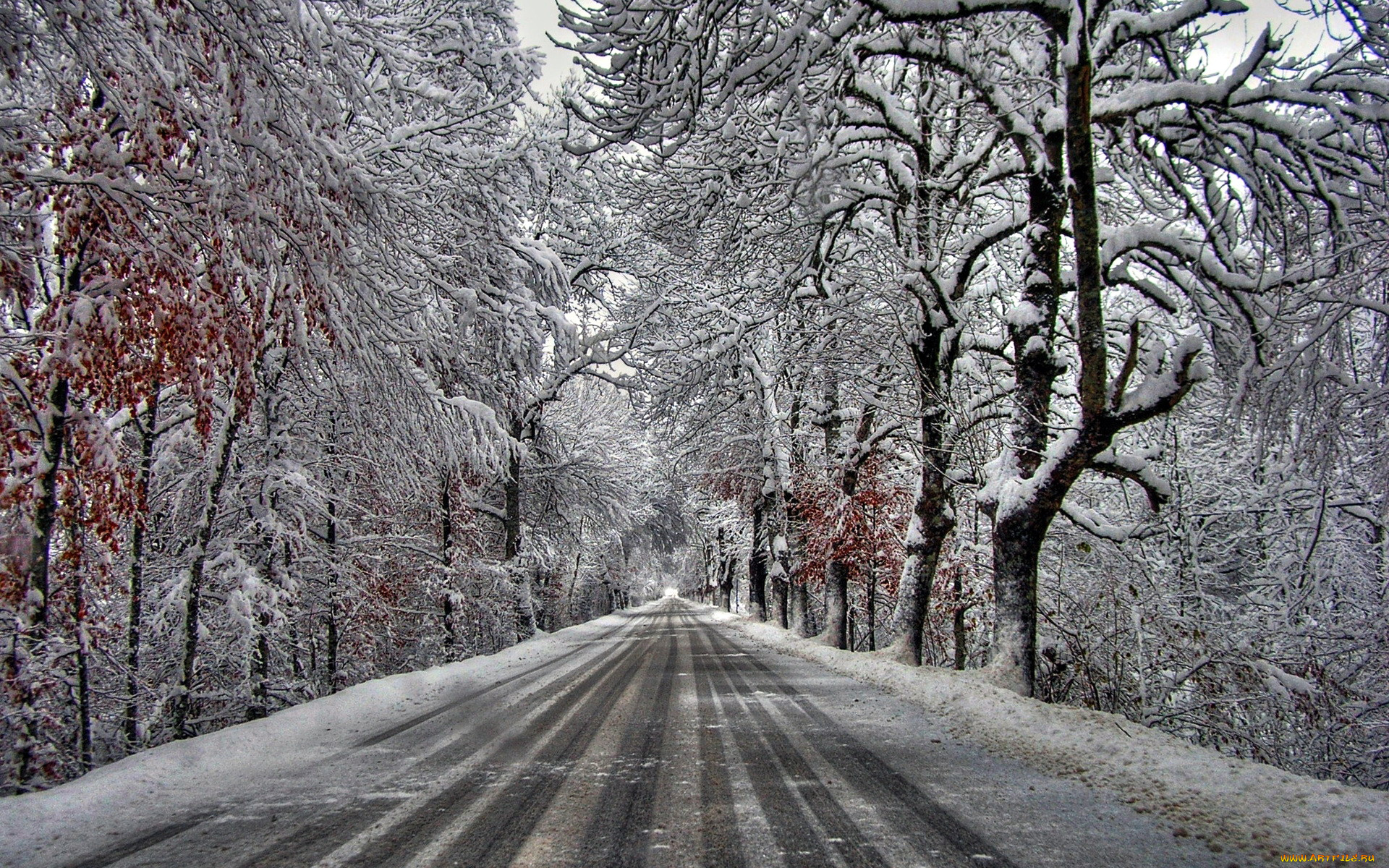 природа, дороги, деревья, снег, иней