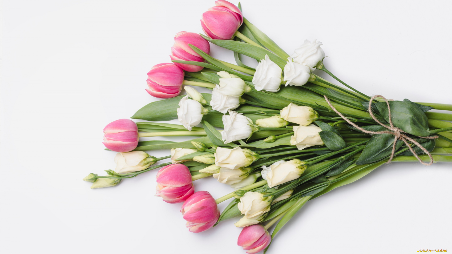 цветы, букеты, , композиции, букет, tender, розы, белые, тюльпаны, romantic, roses, fresh, розовые, flowers, tulips, white, pink, wood, бутоны