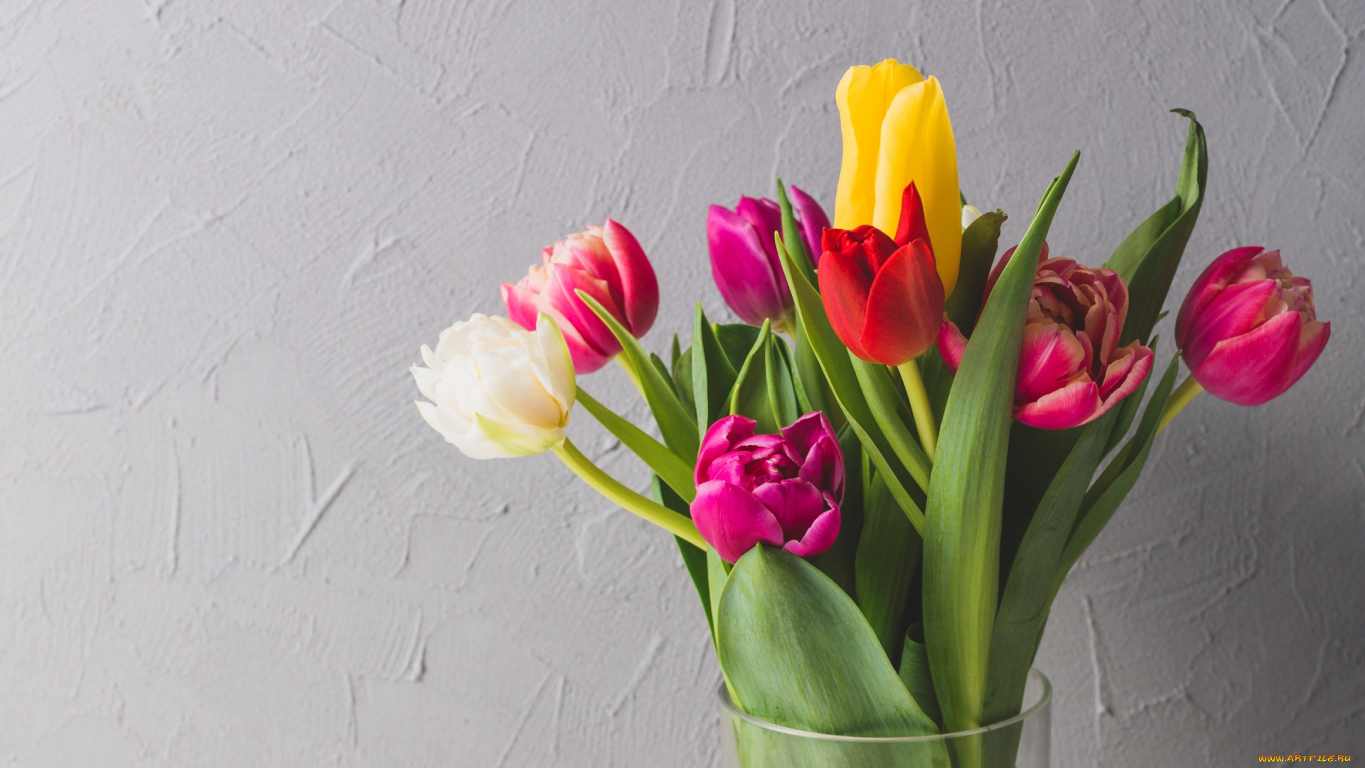 цветы, тюльпаны, colorful, fresh, весна, flowers, spring, букет, яркие, bright, tulips