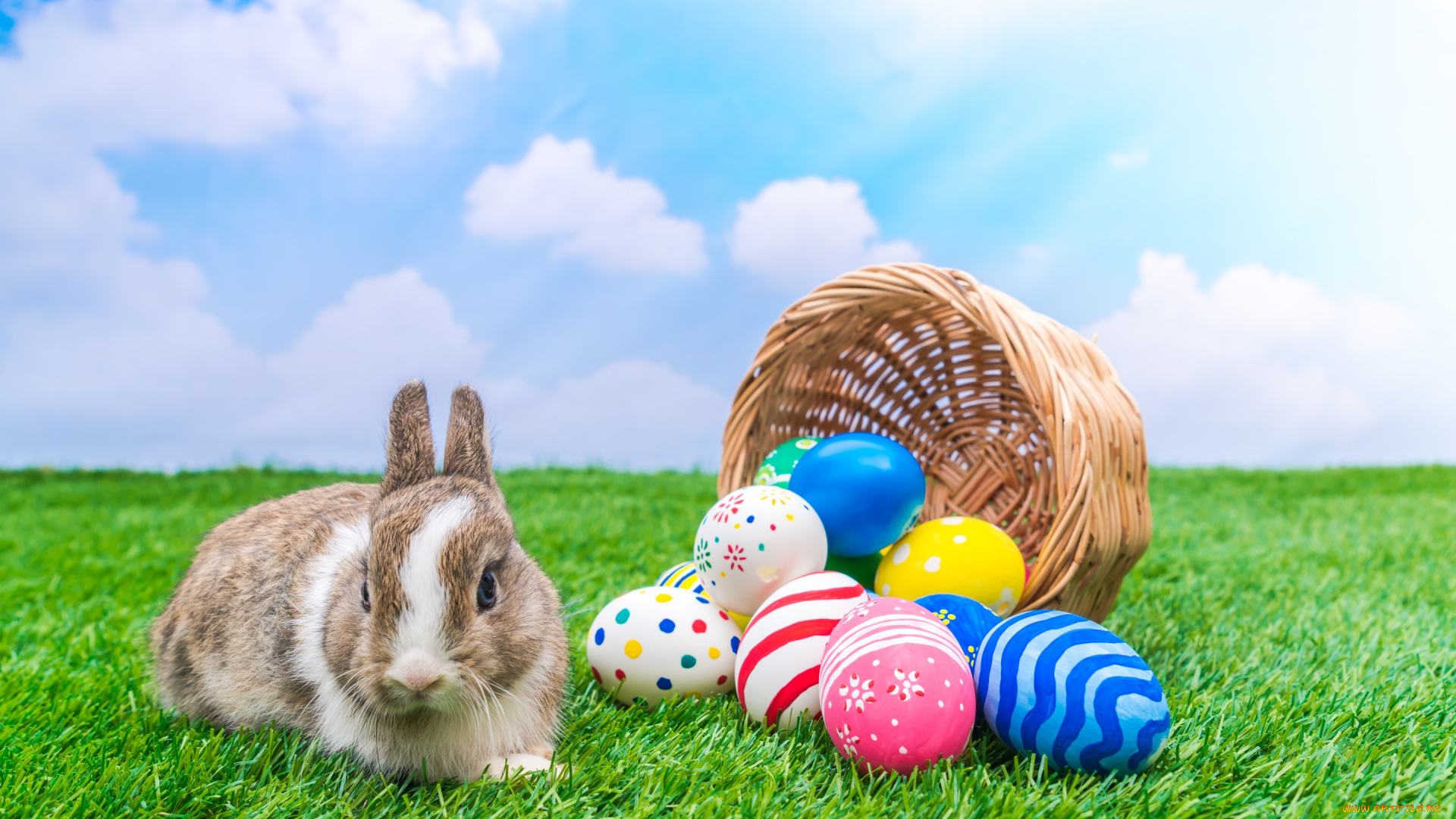 животные, кролики, , зайцы, весна, пасха