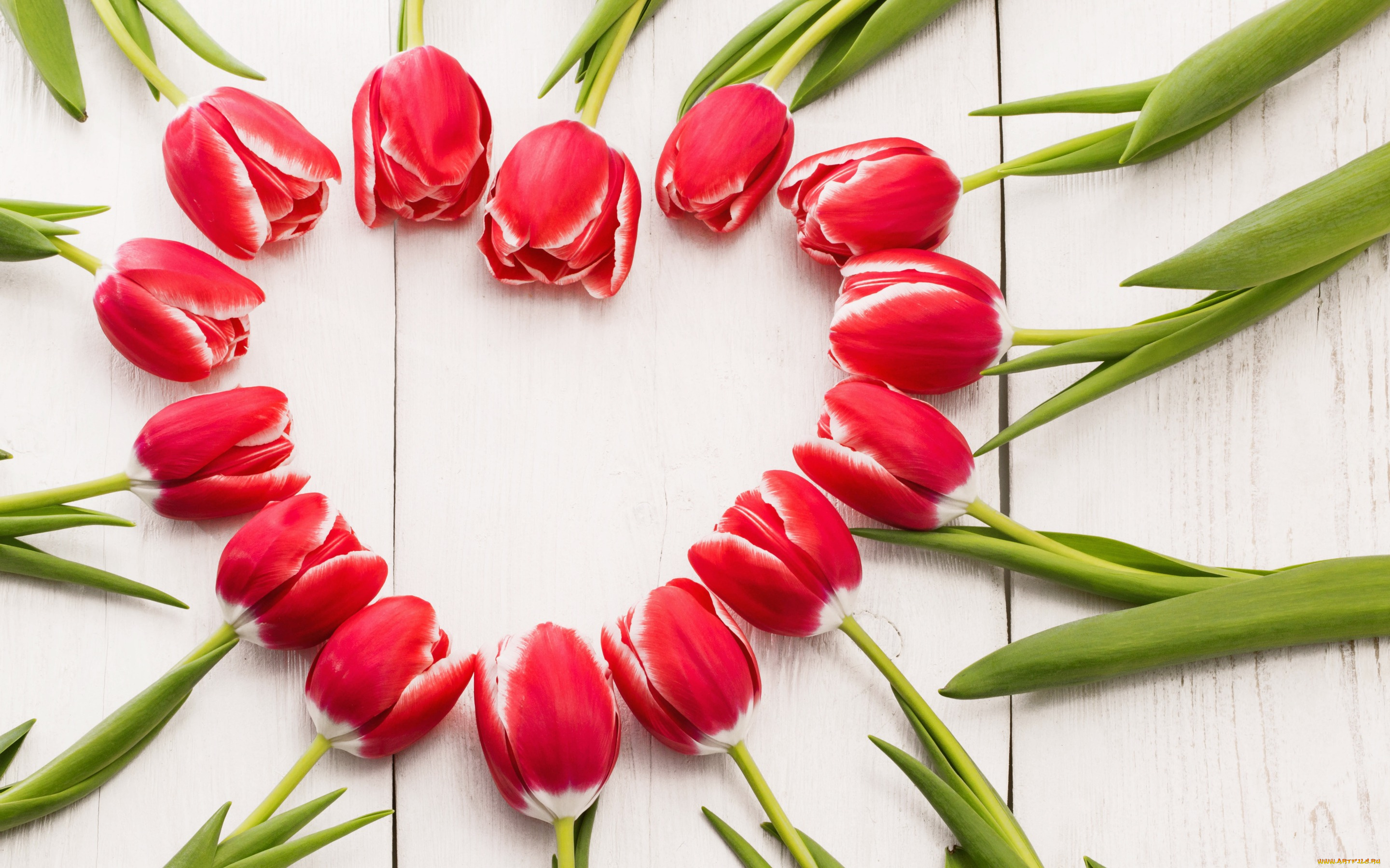 цветы, тюльпаны, tulips, сердце, spring, red, romantic, красные, wood, love, heart