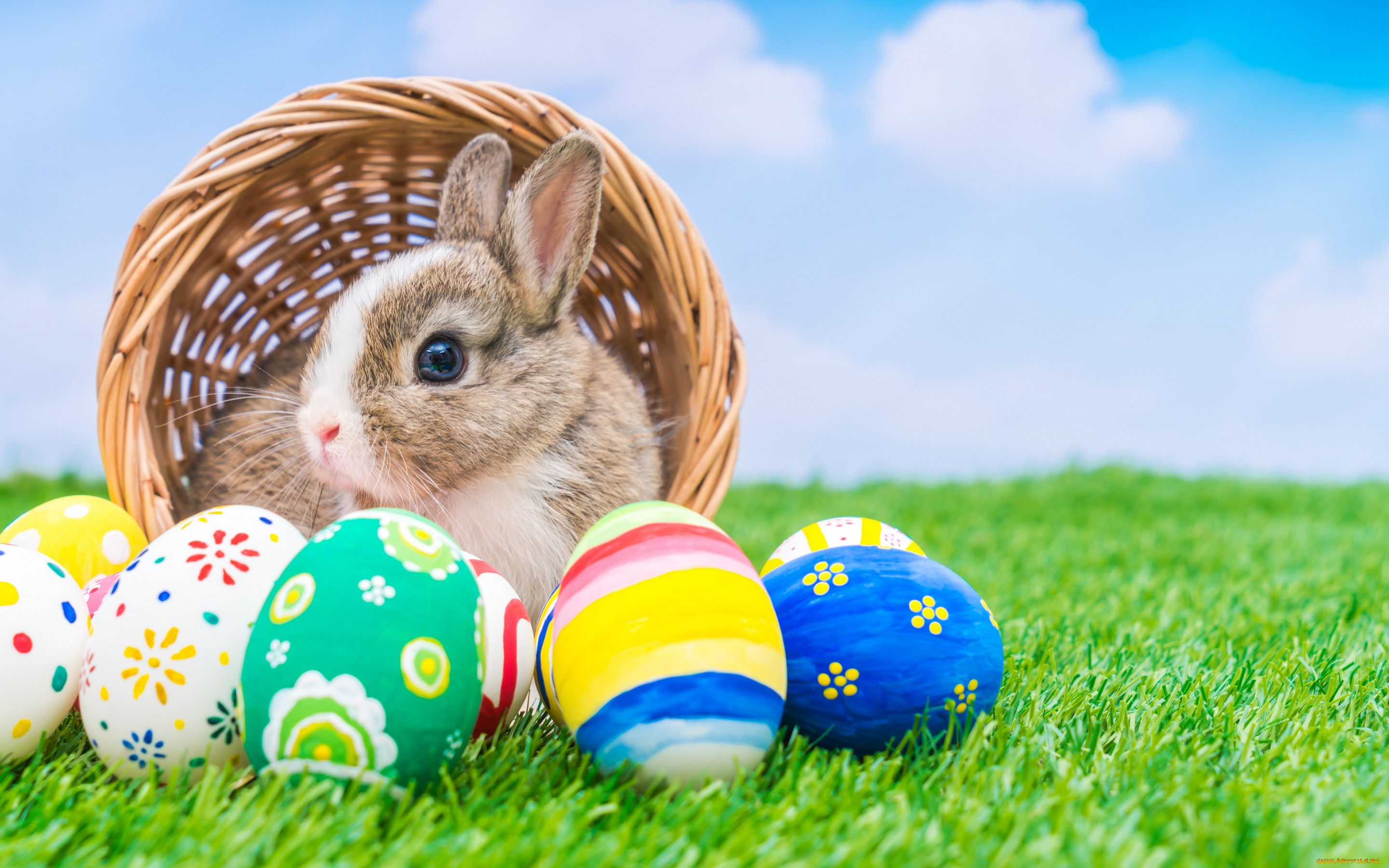 животные, кролики, , зайцы, яйца, крашенные, праздник, кролик, корзина, пасха