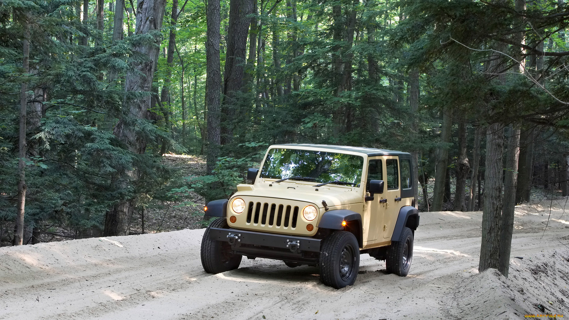 автомобили, jeep