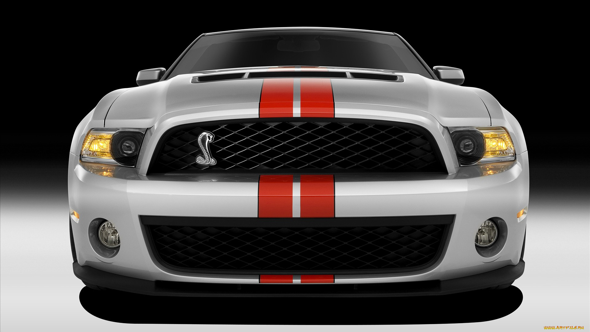 ford, shelby, gt5, автомобили, mustang