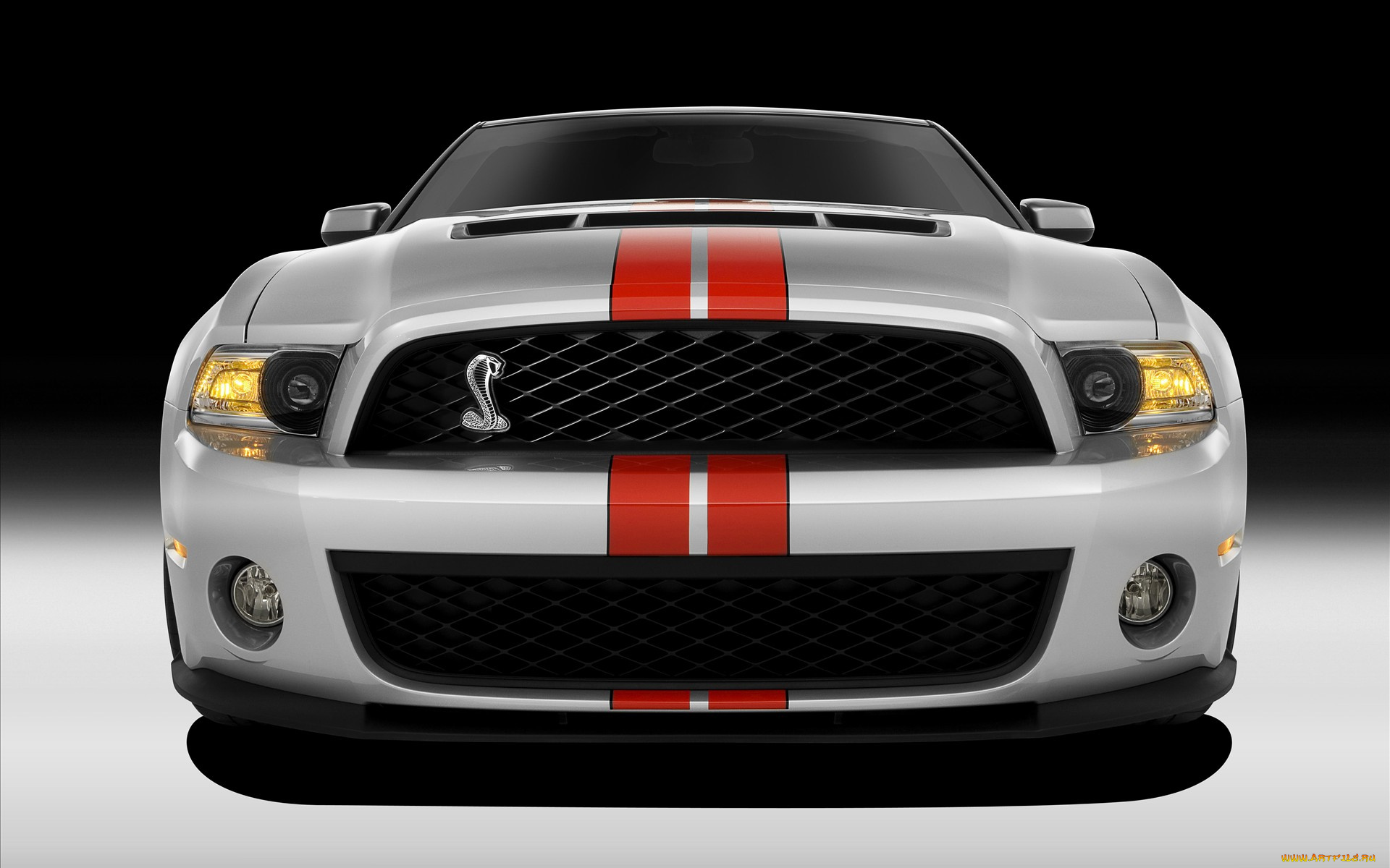 ford, shelby, gt5, автомобили, mustang