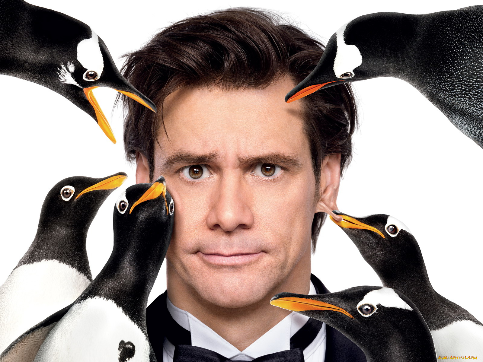 mr, popper`s, penguins, кино, фильмы
