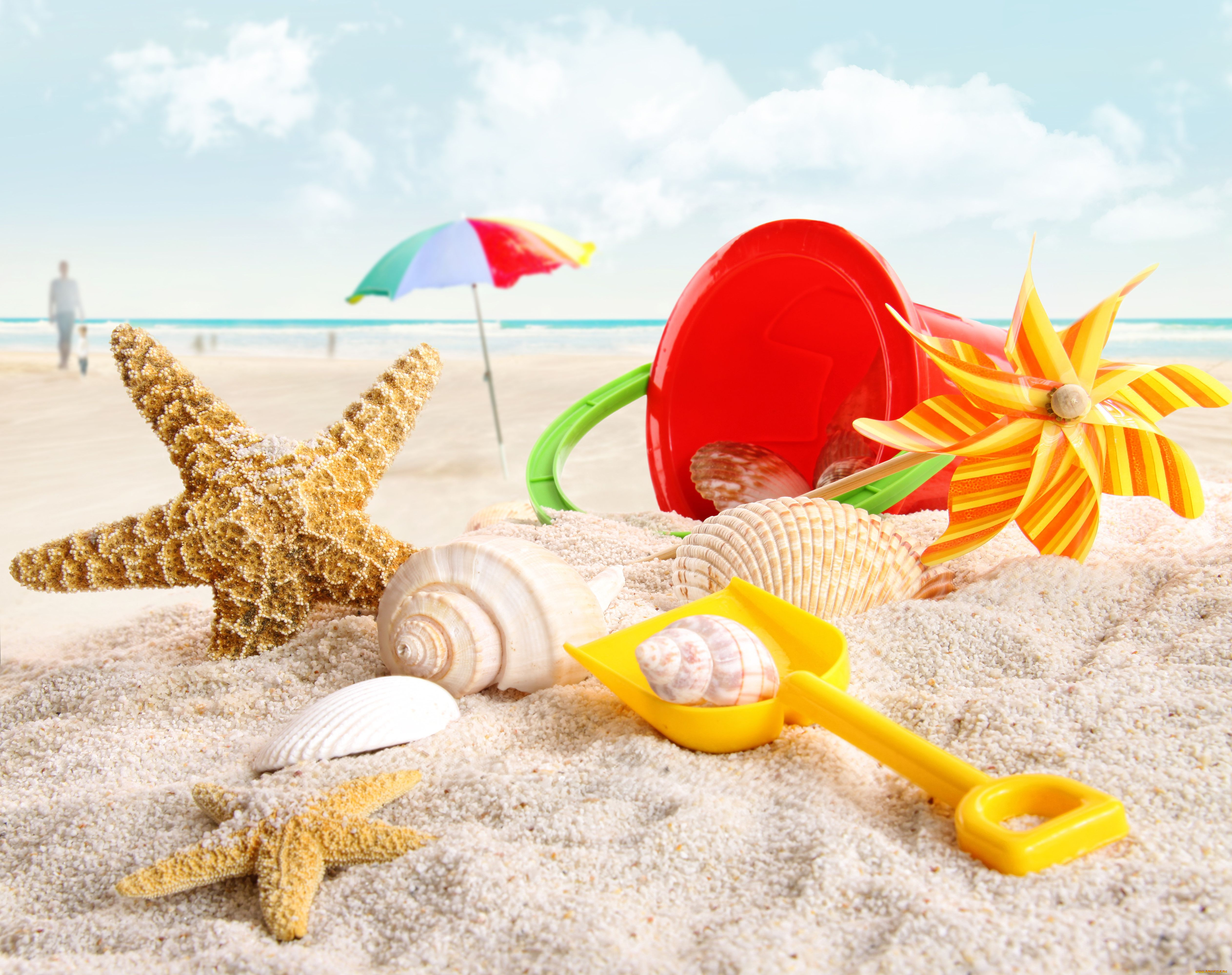 разное, ракушки, кораллы, декоративные, spa, камни, савок, зонт, ведёрко, морские, звёзды, игрушки, пляж, песок