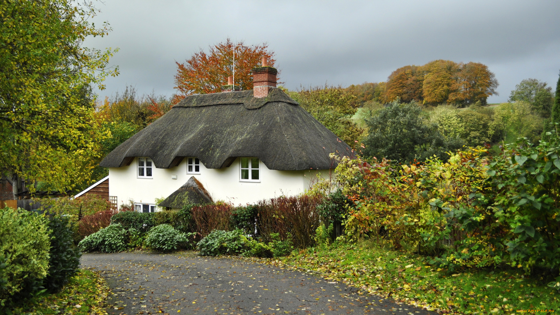 tollard, royal, , wiltshire, , uk, города, -, здания, , дома, англия, tollard, royal, кусты, дорога, england, дом