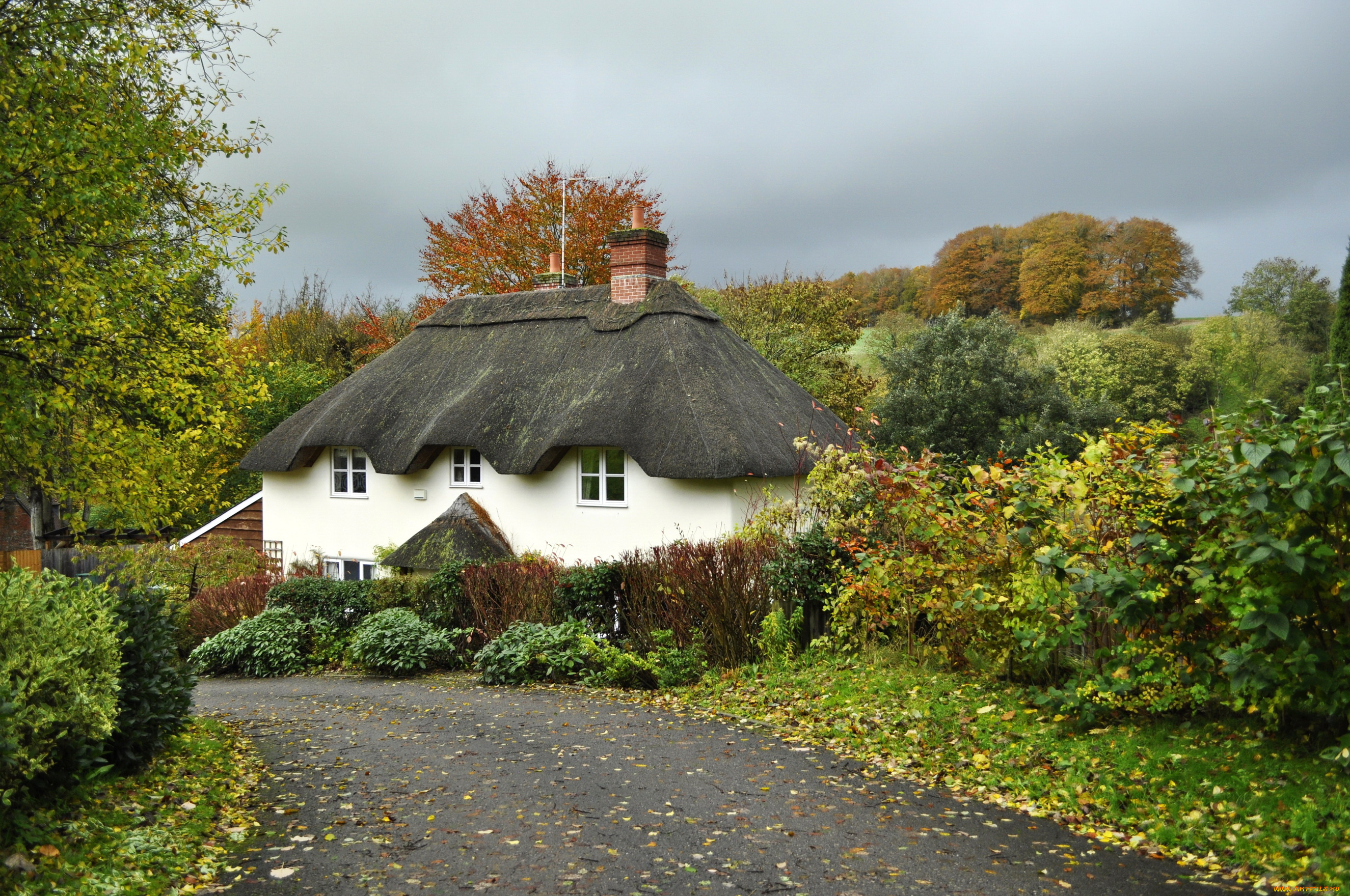 tollard, royal, , wiltshire, , uk, города, -, здания, , дома, англия, tollard, royal, кусты, дорога, england, дом