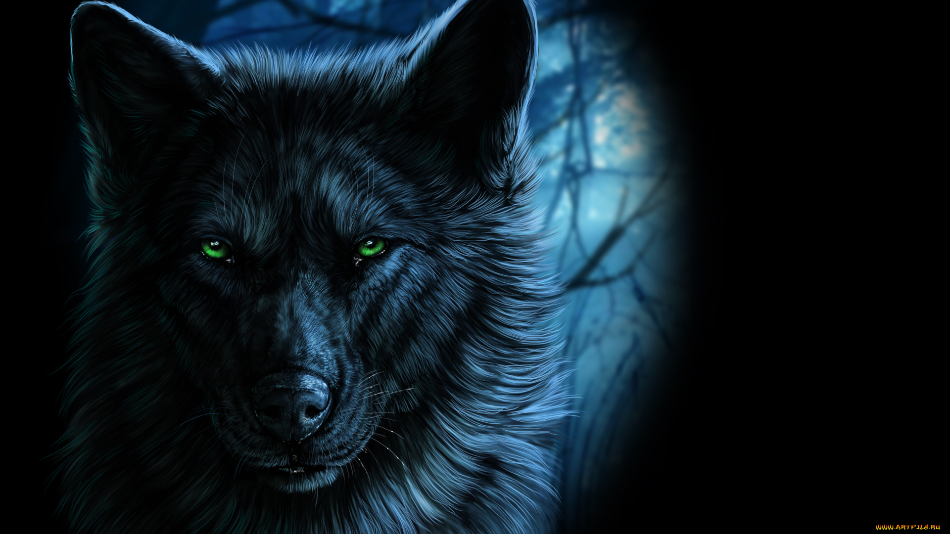 рисованное, животные, , волки, взгляд, зеленые, глаза, волк