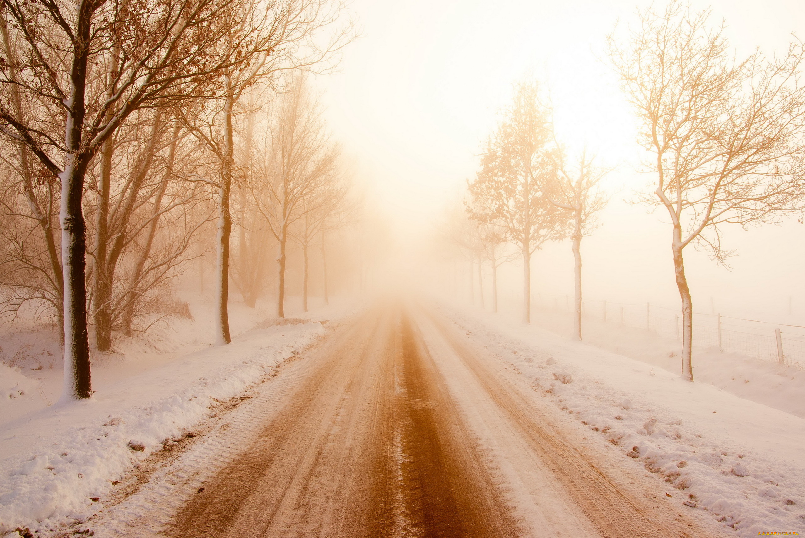 природа, дороги, туман, снег, дорога