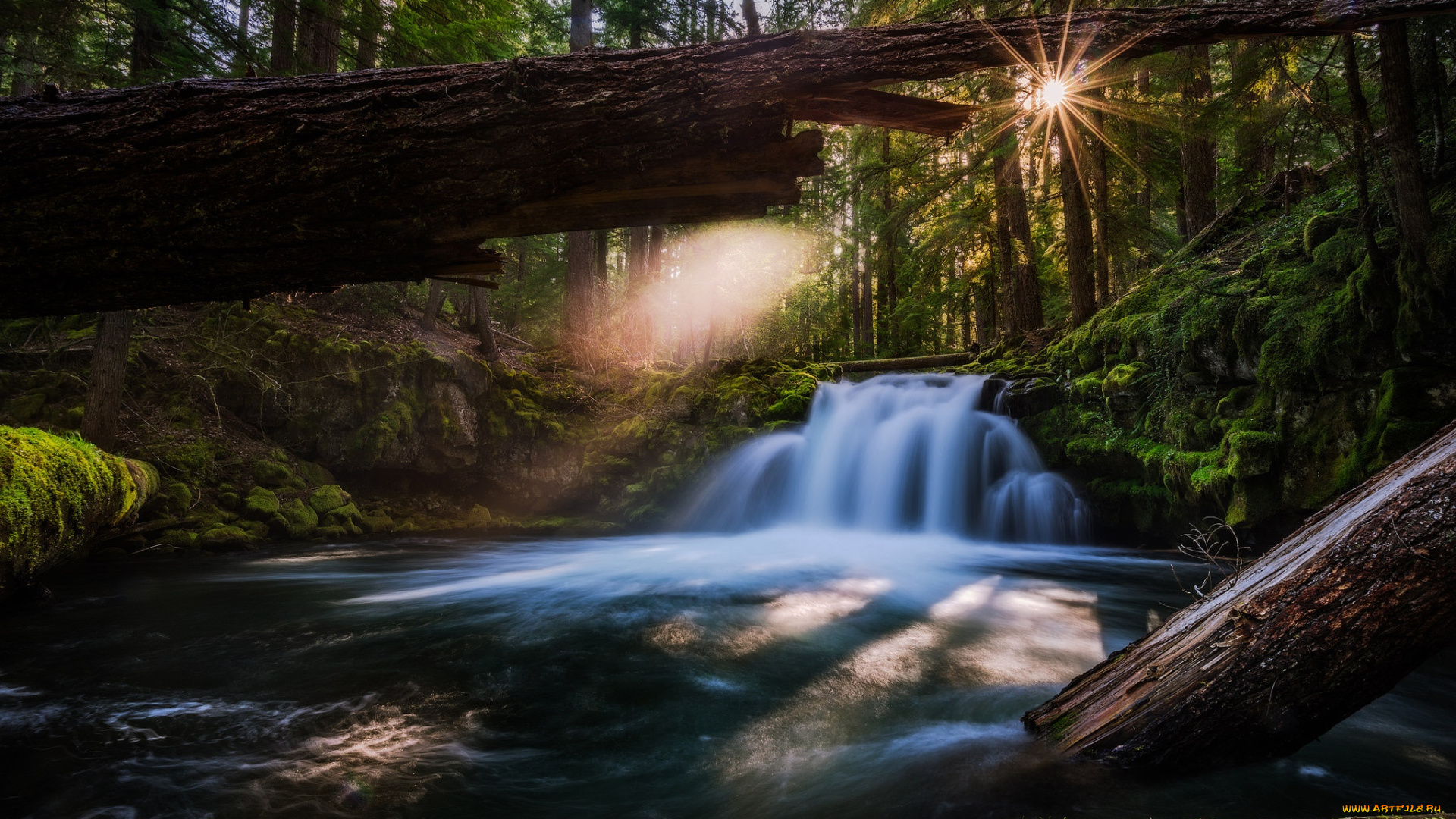 природа, водопады, орегон, водопад, река, уайтхорс, лес, umpqua, river, ампква, whitehorse, falls, брёвна, oregon