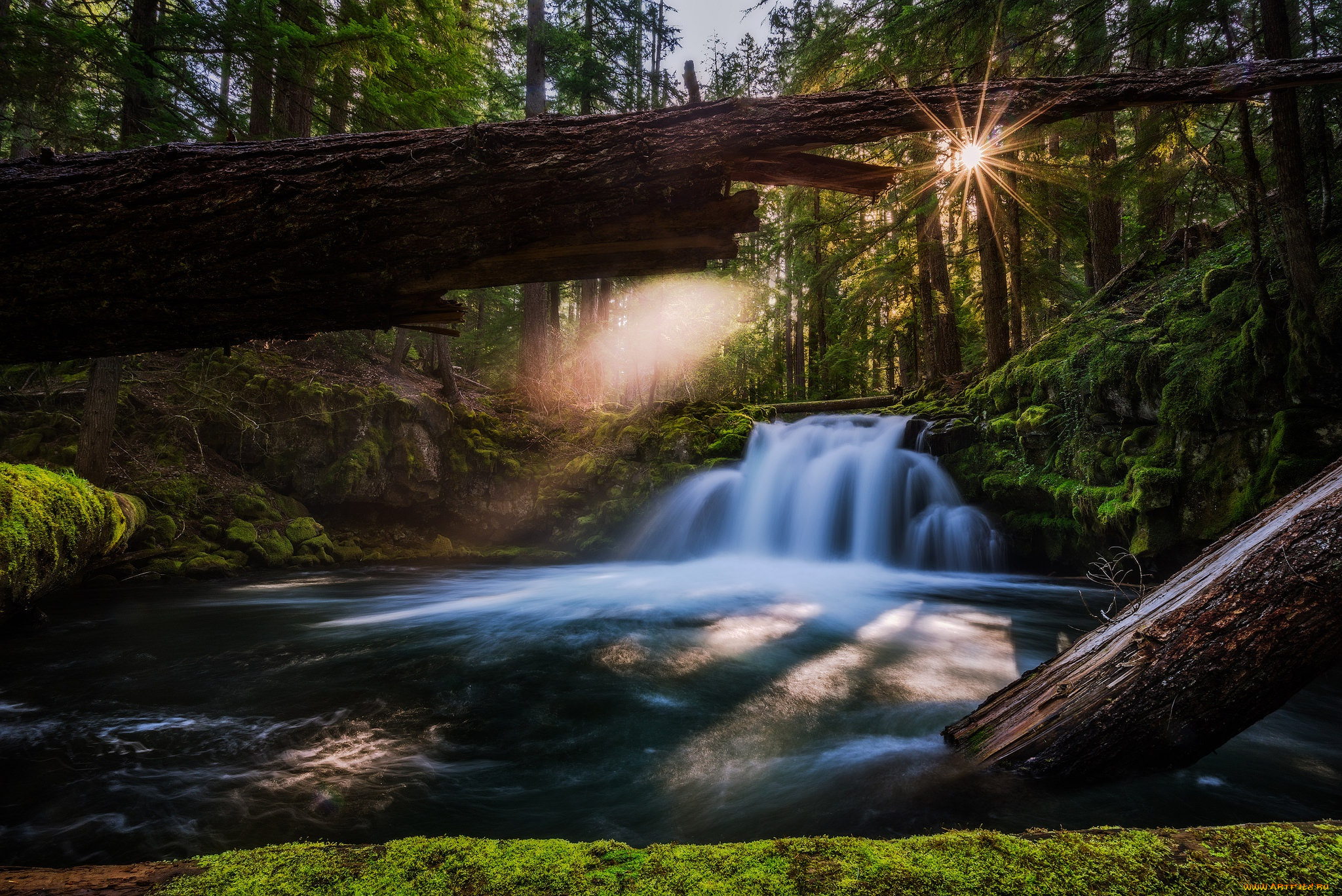 природа, водопады, орегон, водопад, река, уайтхорс, лес, umpqua, river, ампква, whitehorse, falls, брёвна, oregon