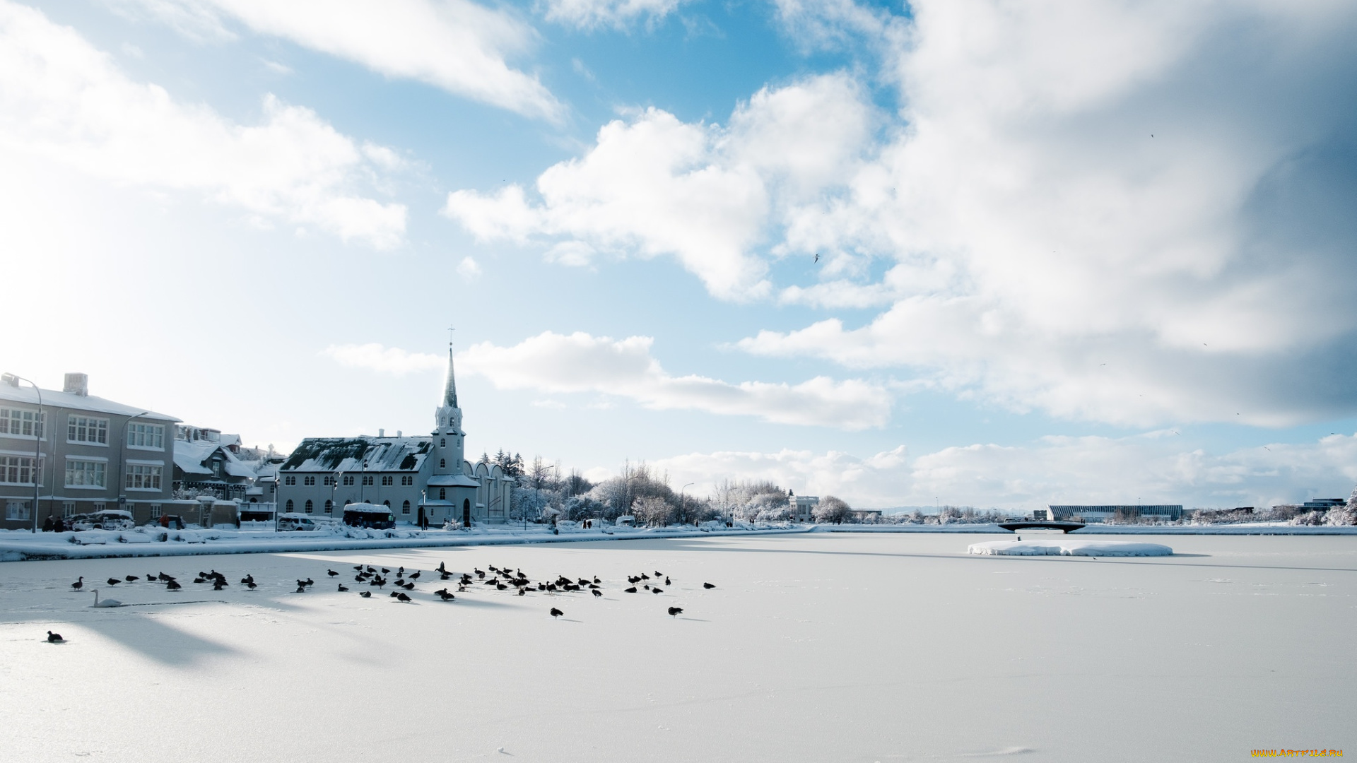 города, рейкьявик, , исландия, рейкьявик, reykjavik, зима