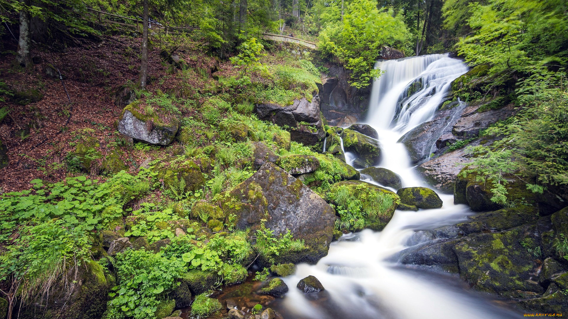 triberger, waterfall, germany, природа, водопады, triberger, waterfall