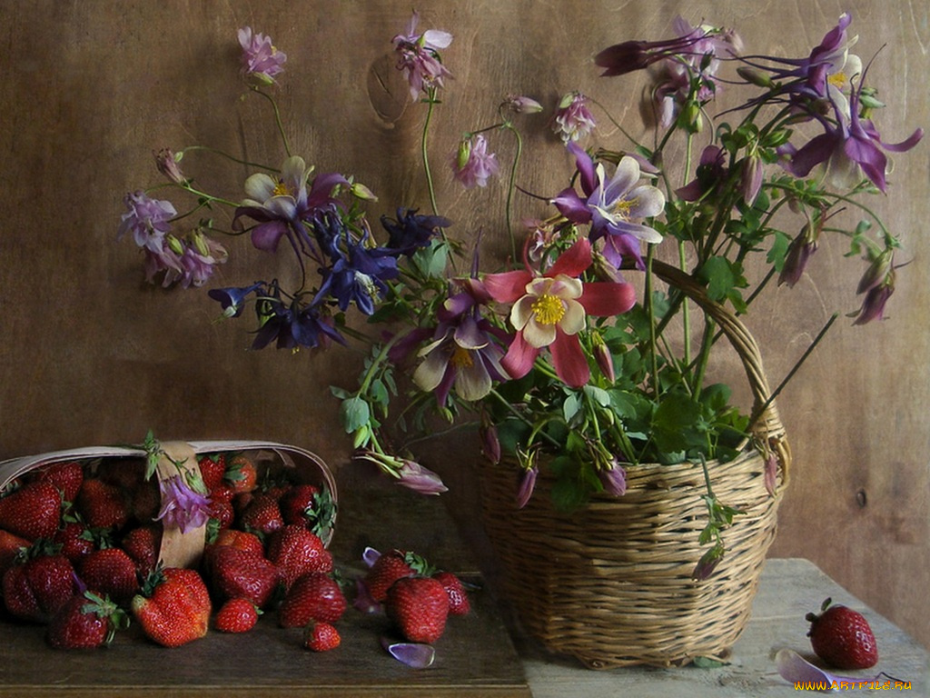 verbena, клубника, цветы, еда, натюрморт