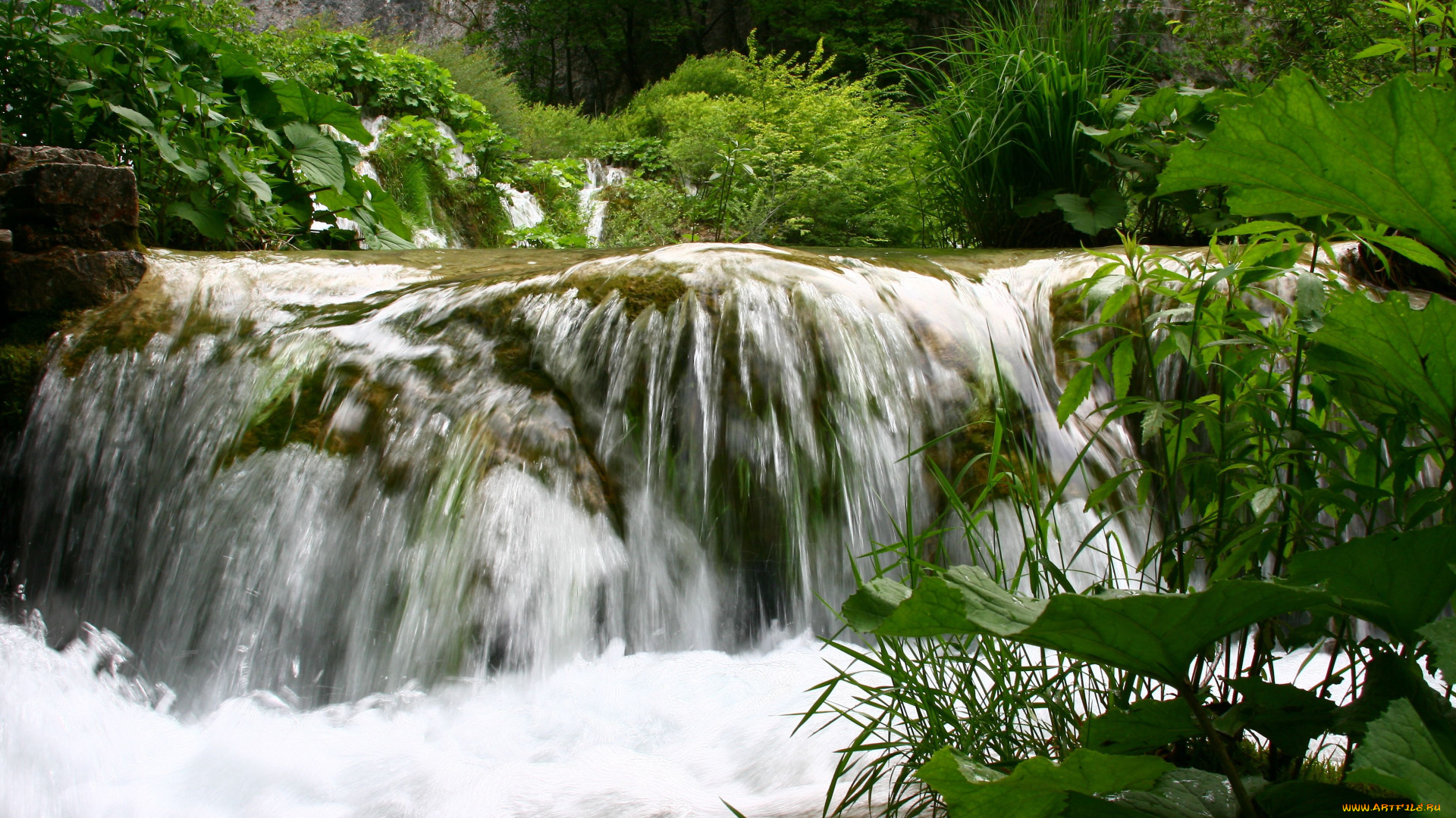 природа, водопады, река, водопад, вода, листья, трава