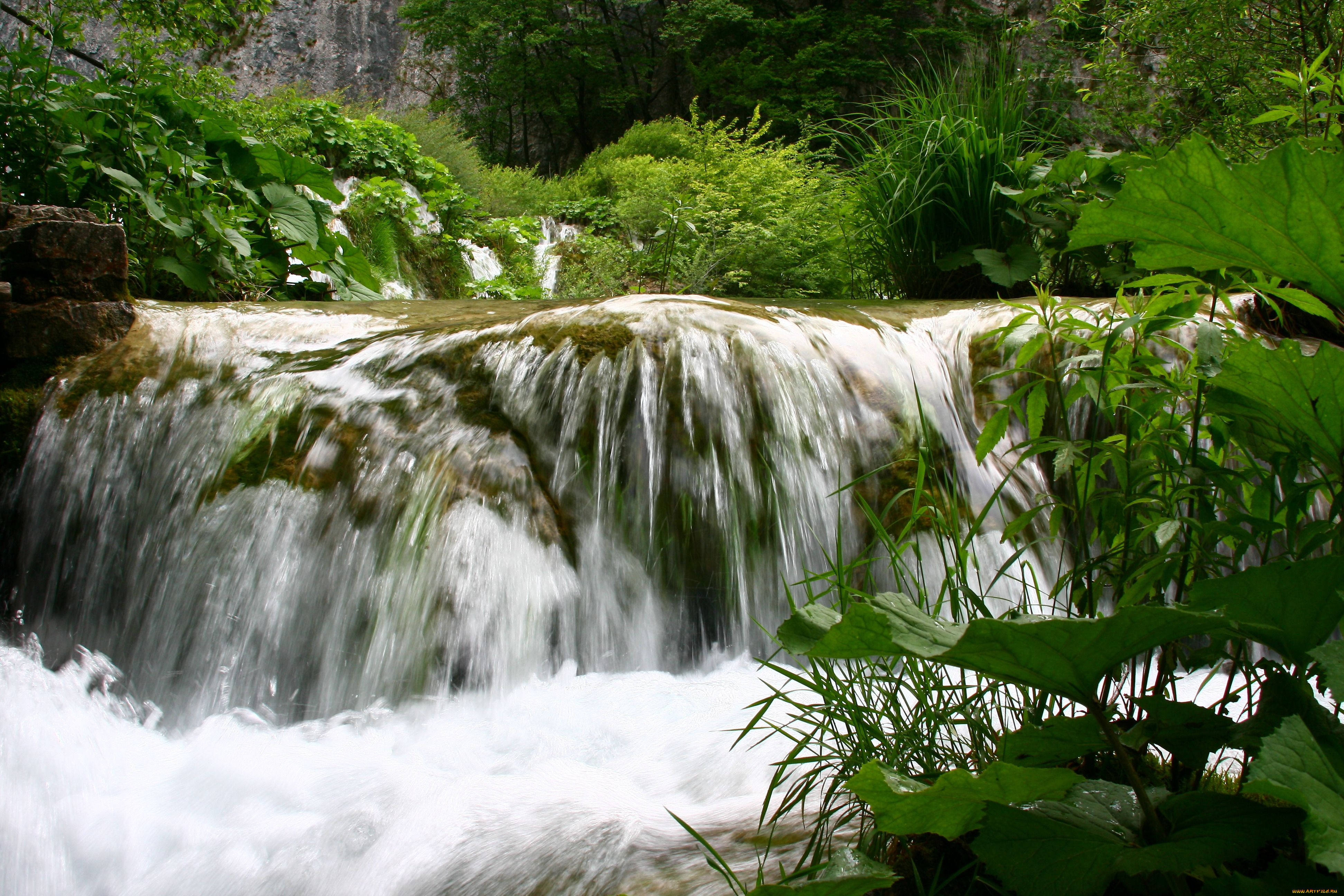 природа, водопады, река, водопад, вода, листья, трава