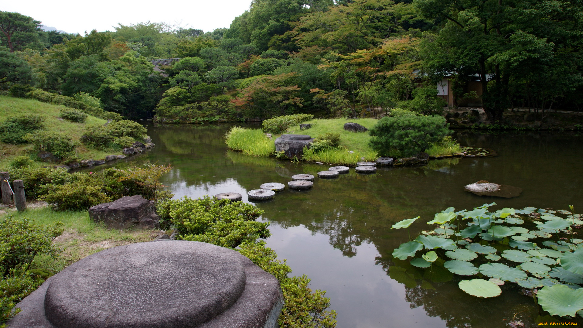 isuien, garden, nara, japan, природа, парк