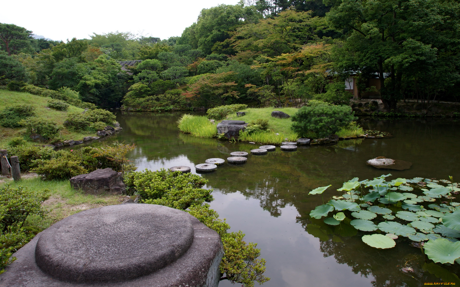 isuien, garden, nara, japan, природа, парк