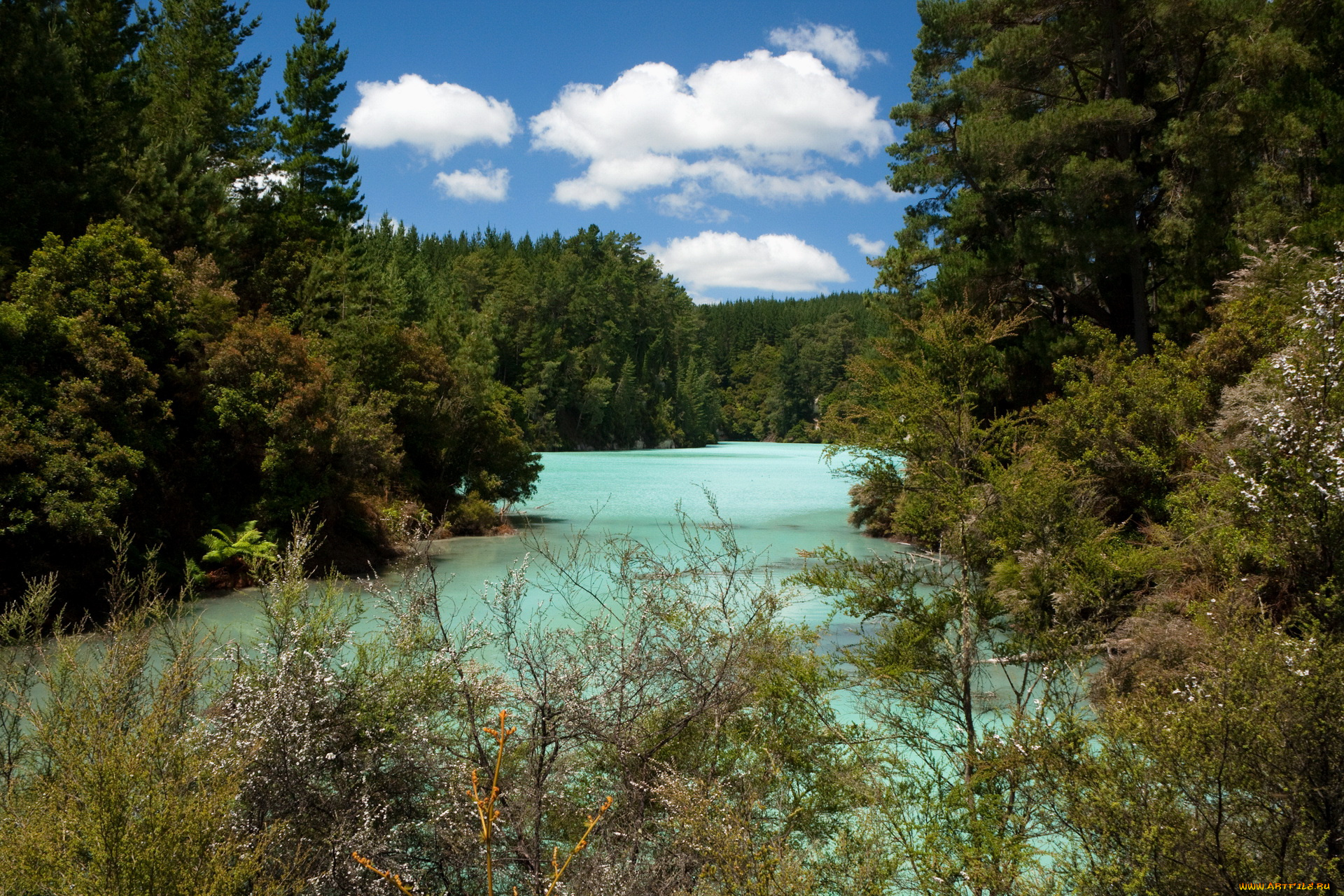 природа, реки, озера, new, zealand, echo, lake