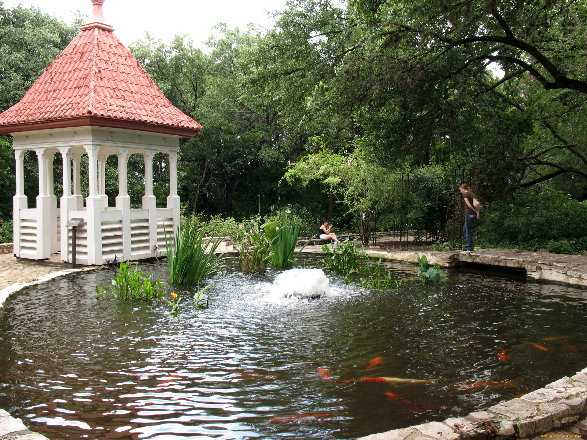 zilker, botanical, garden, сша, texas, природа, парк