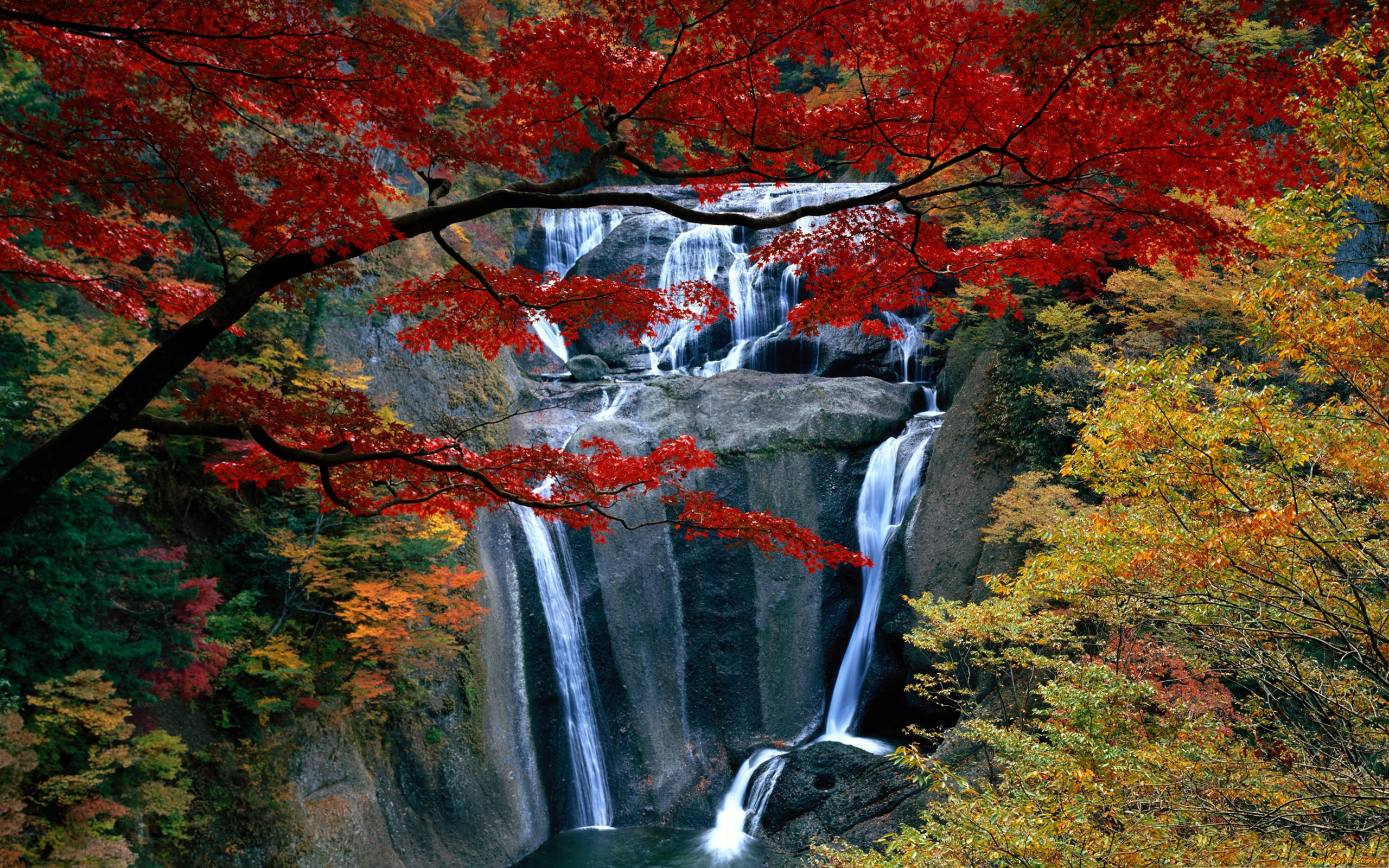 природа, водопады, листья, красные, водопад, лес