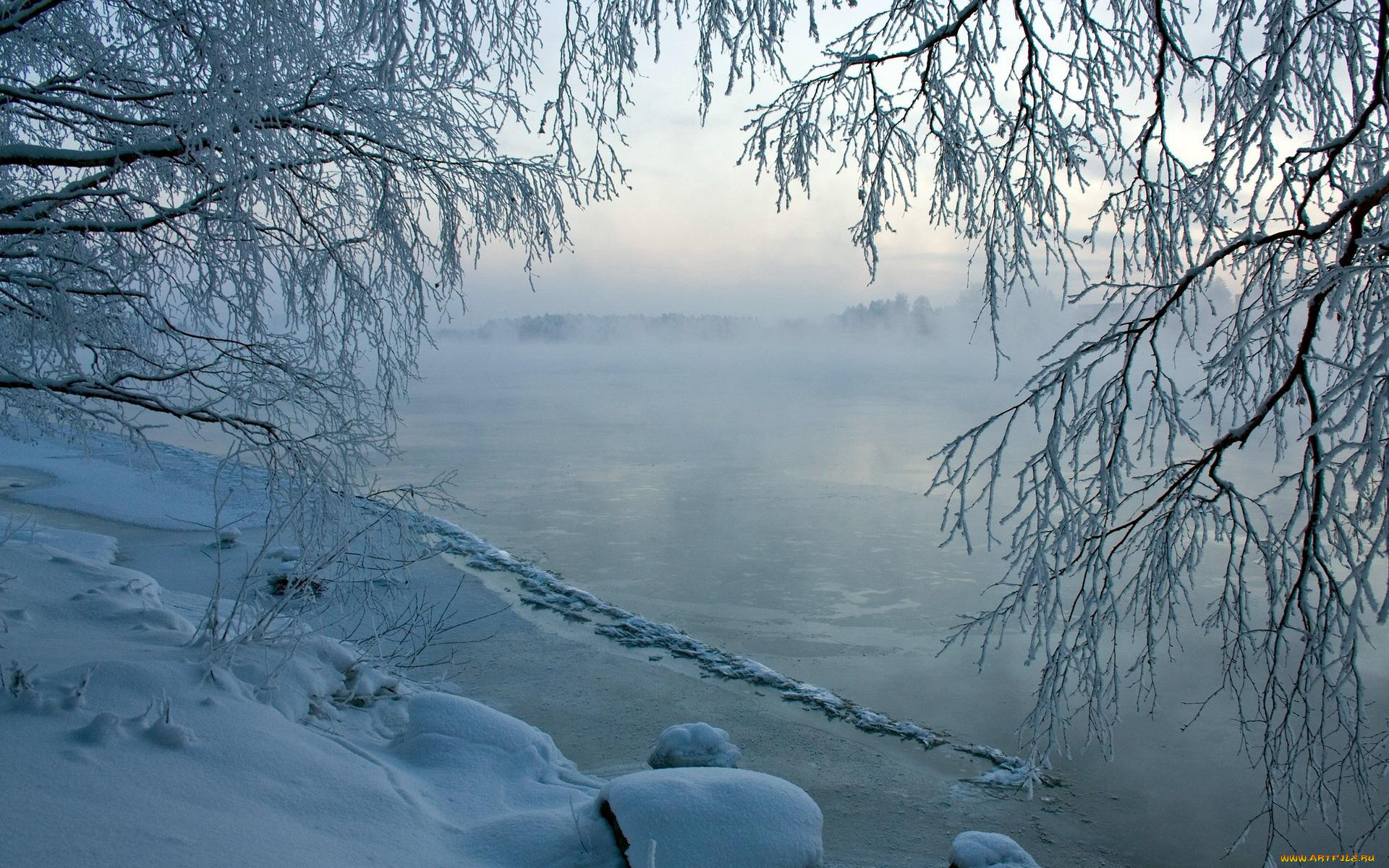 природа, зима, река, берег, ветки, иней, снег