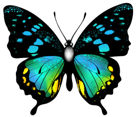Картинка векторная+графика животные+ animals бабочка