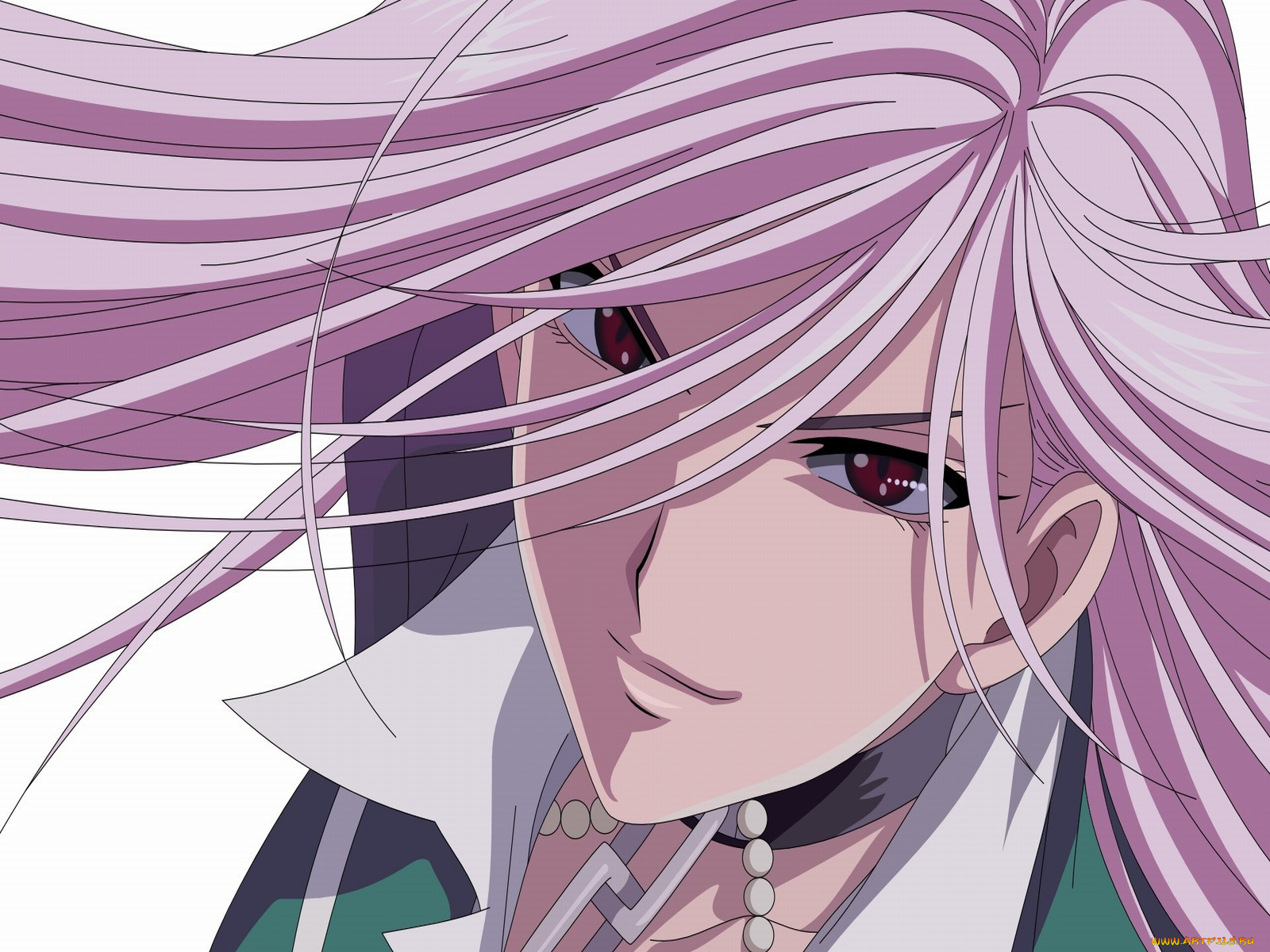 аниме, rosario, vampire