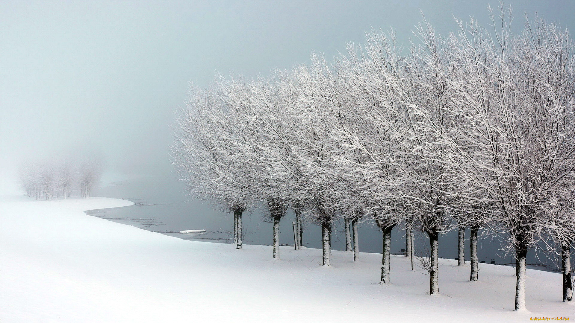 природа туман зима деревья загрузить