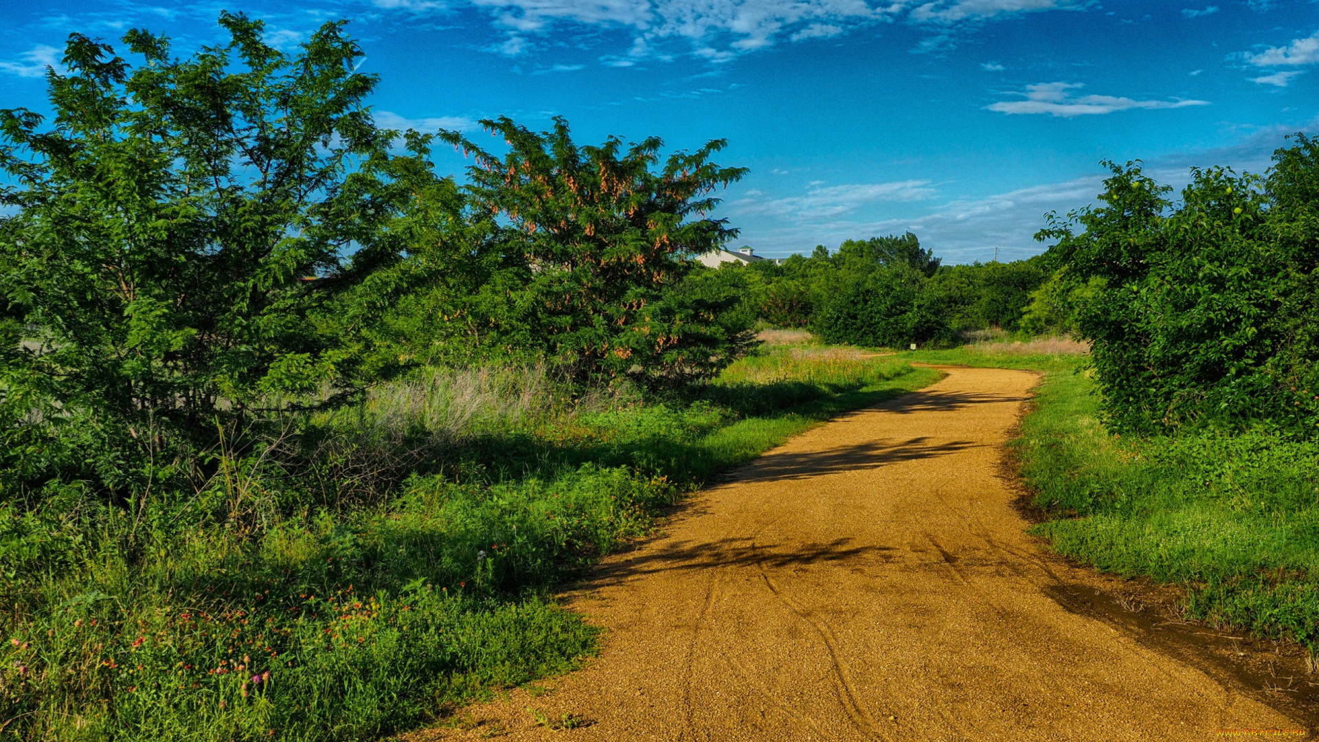 природа, дороги, солнце, тень, roads, usa, деревья, техас, дорога