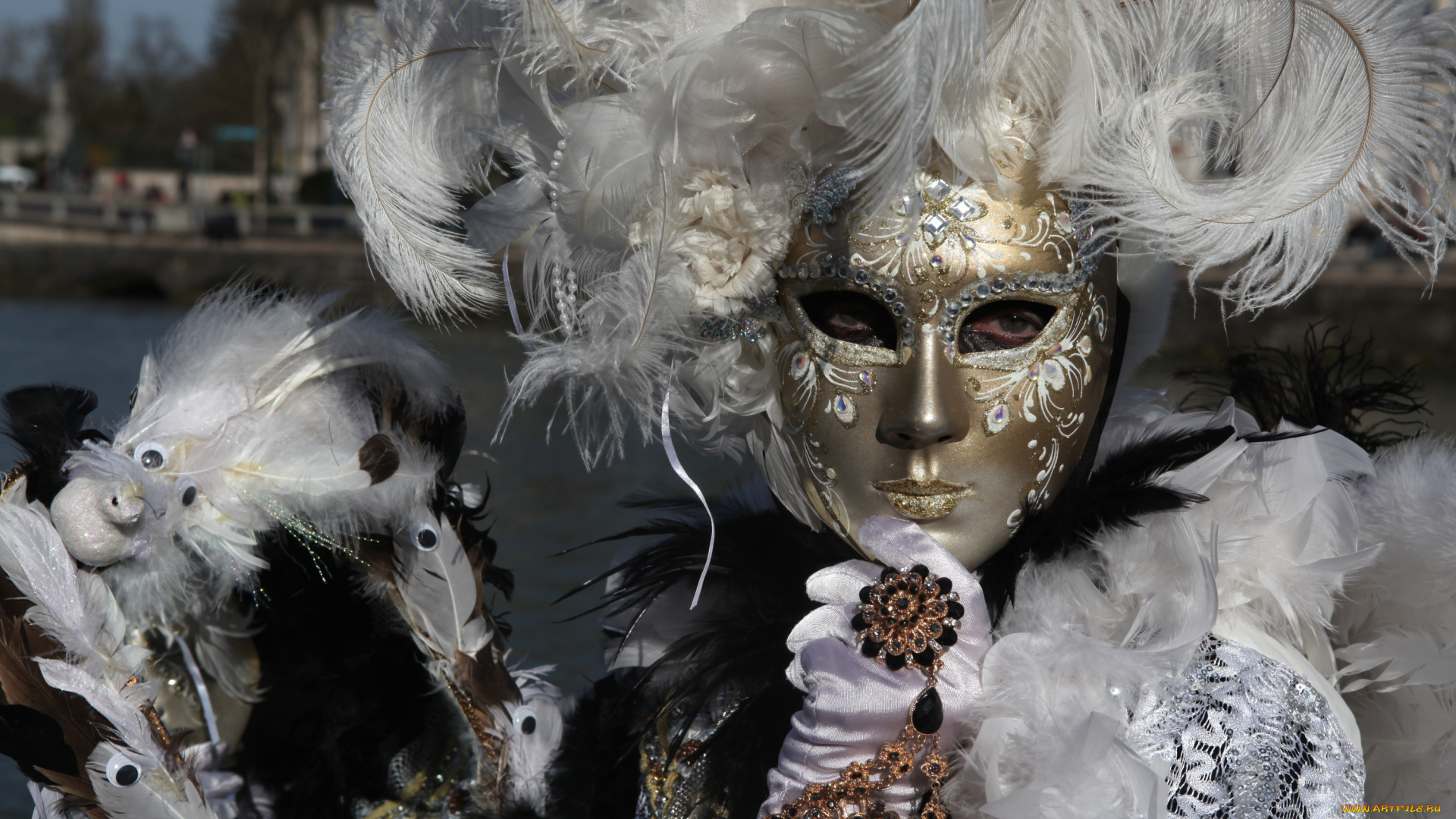 разное, маски, , карнавальные, костюмы, карнавал, маска, перья, венеция