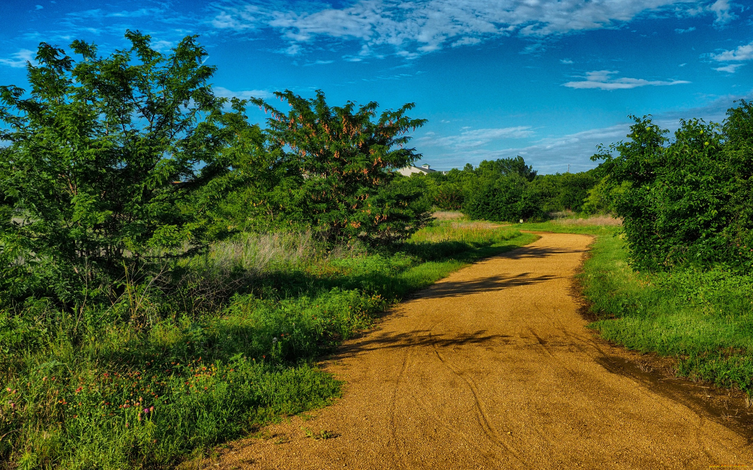 природа, дороги, солнце, тень, roads, usa, деревья, техас, дорога