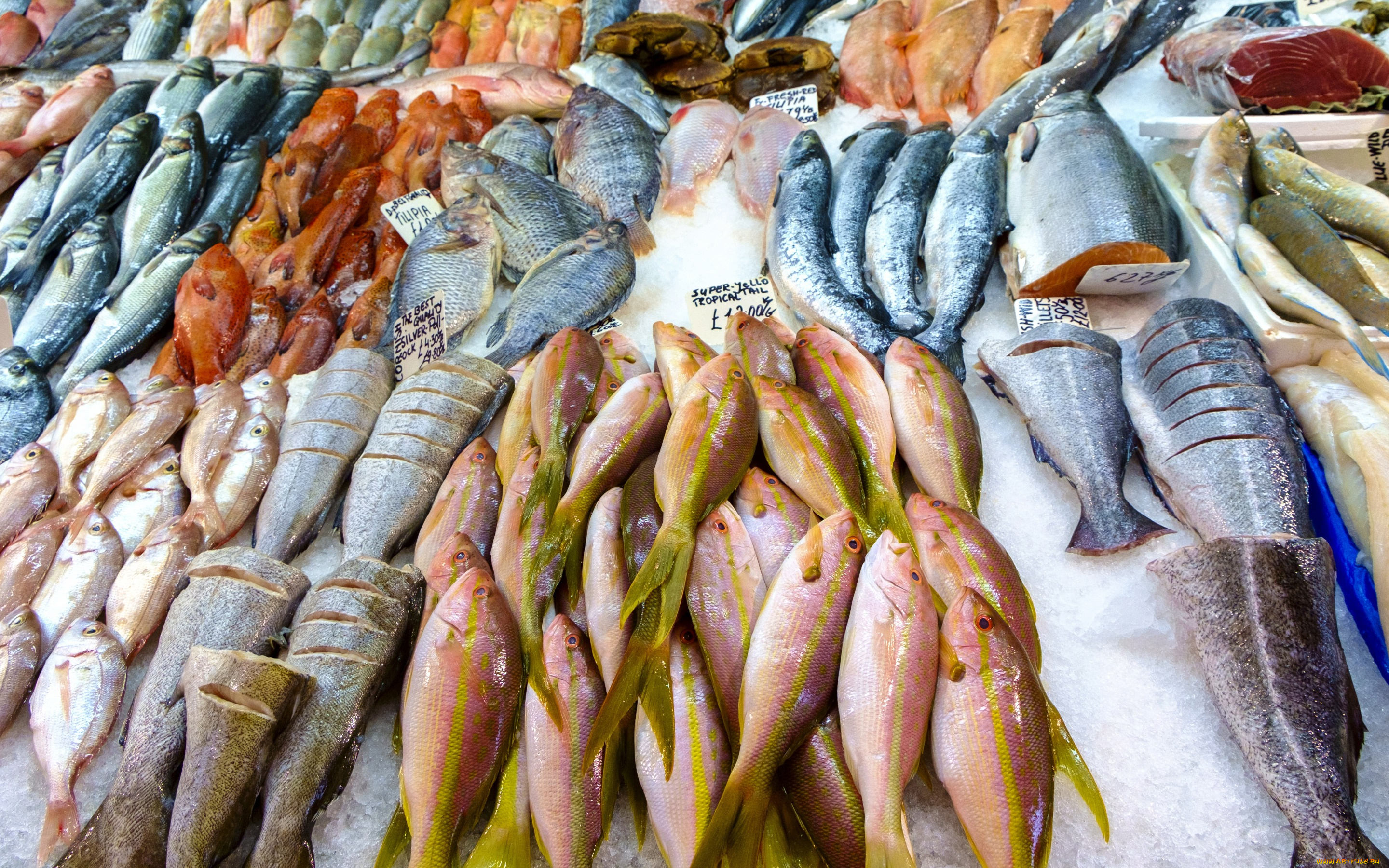 еда, рыба, , морепродукты, , суши, , роллы, fish, frozen, meat, variety