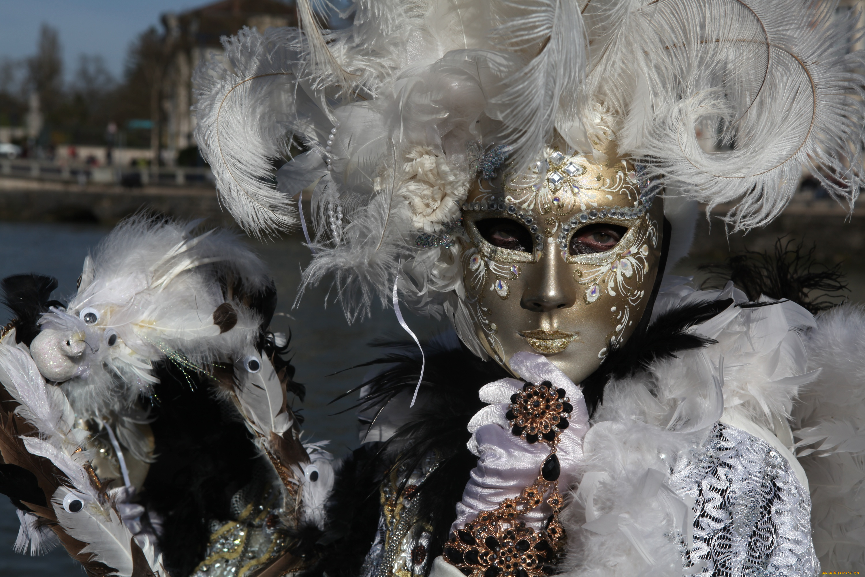 разное, маски, , карнавальные, костюмы, карнавал, маска, перья, венеция