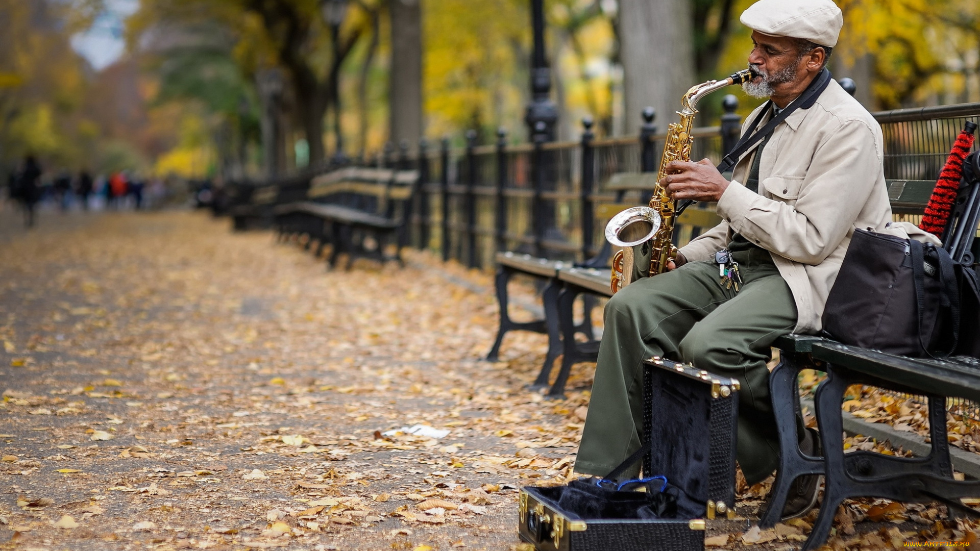 музыка, -другое, улица, парк, скамейка, саксофон, мужчина