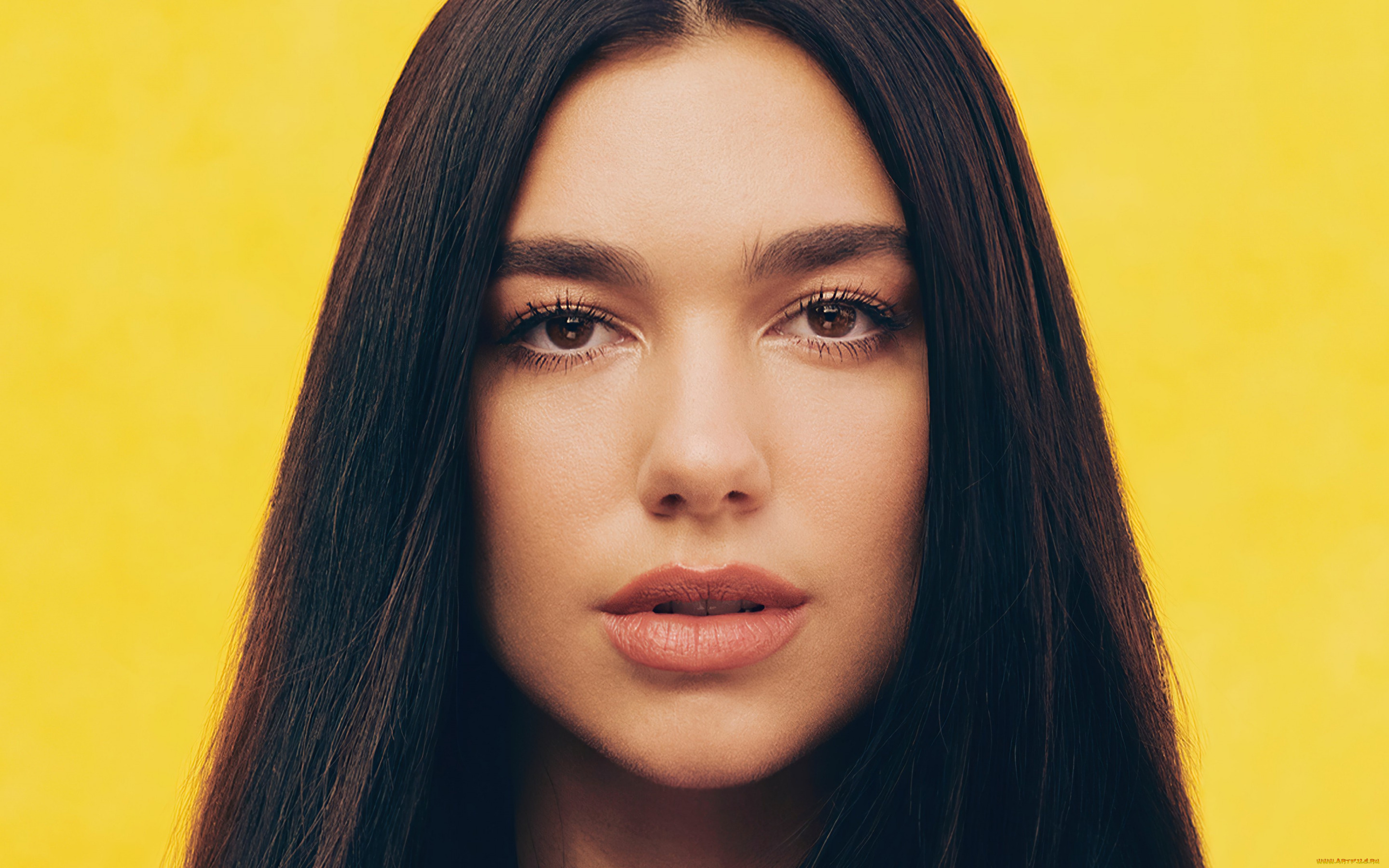 музыка, dua, lipa, портрет