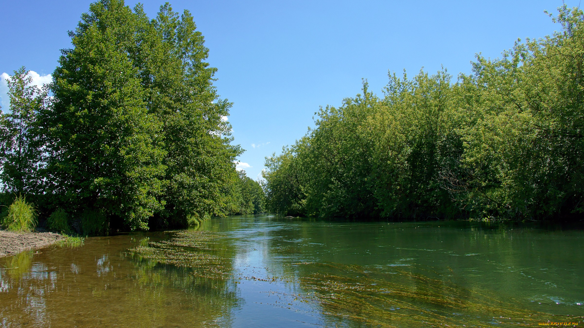 природа, реки, озера, деревья, вода, река