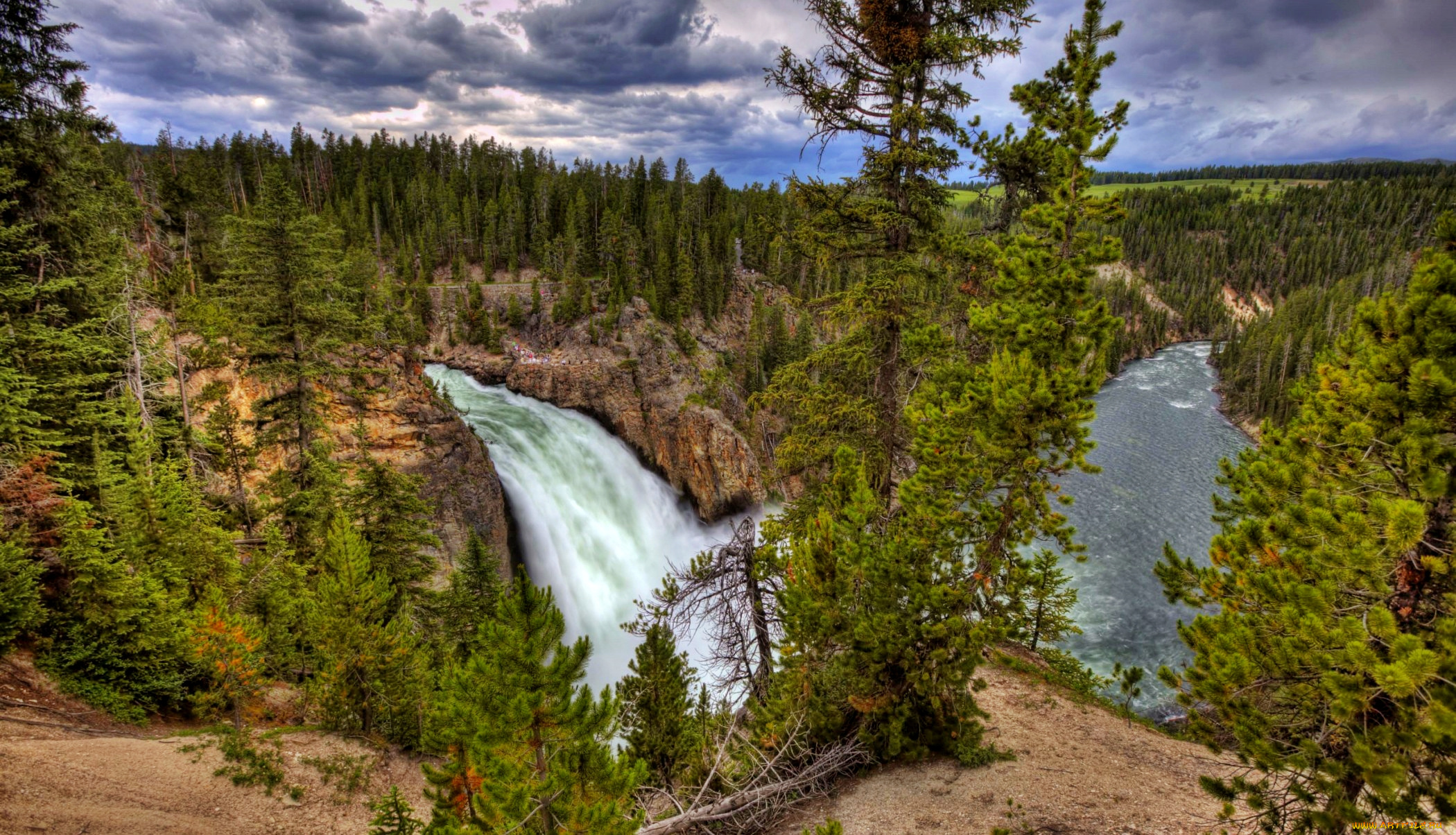 upper, falls, yellowstone, river, природа, водопады, скалы, обрыв, лес, река, сша, водопад, йеллоустоун