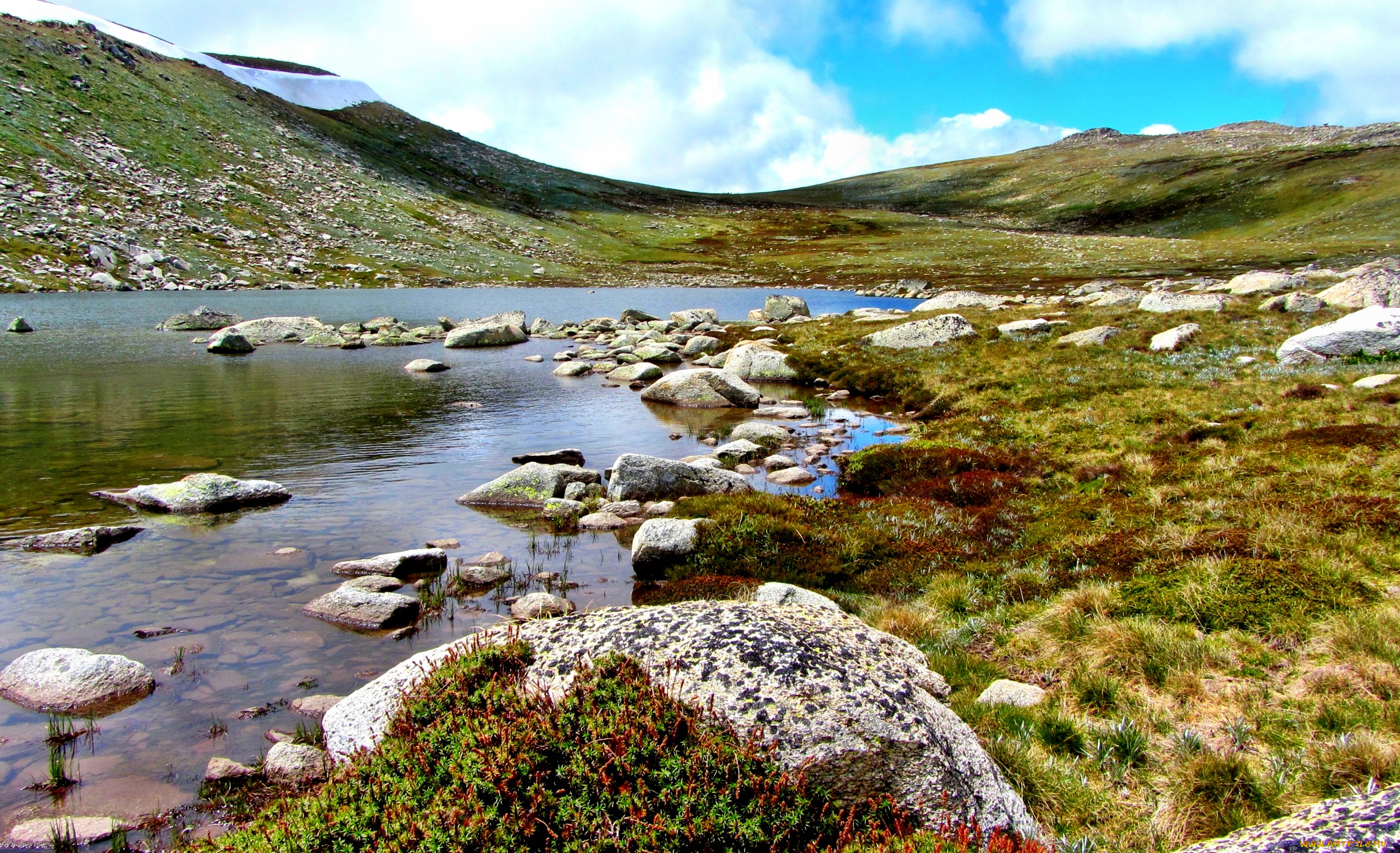 lake, cootapatamba, природа, реки, озера, озеро, холмы, камни, мох, трава