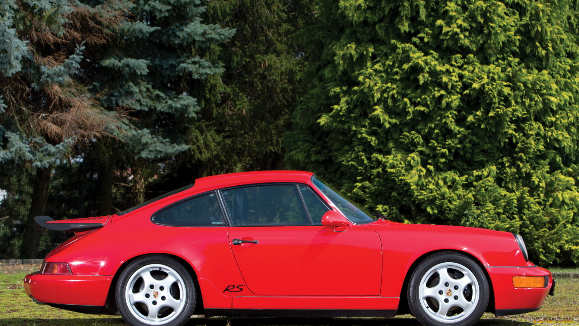 автомобили, porsche, 964г, красный, 911, carrera, rs, 3-6, america