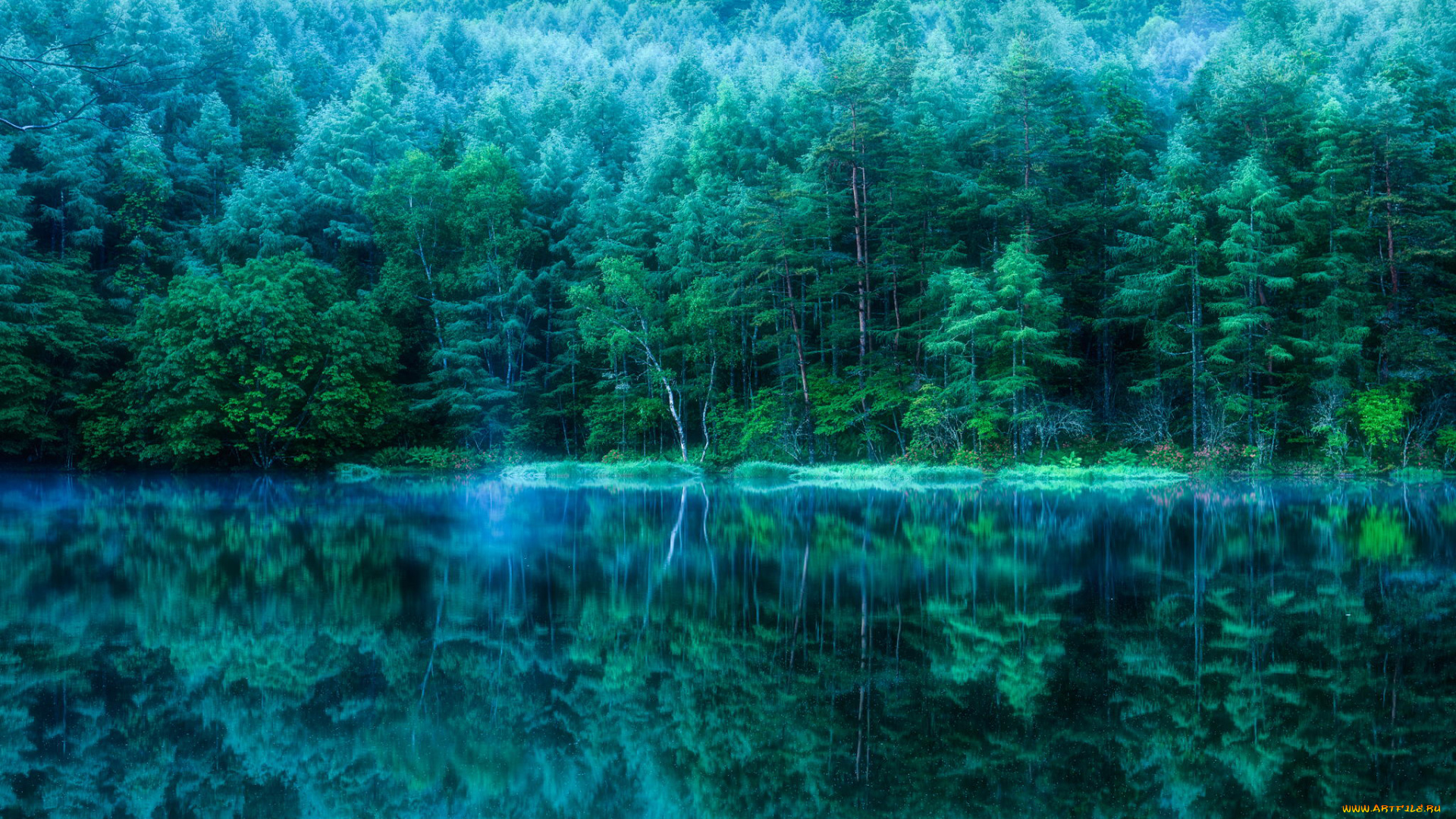 природа, реки, озера, отражение, деревья, лес, водоем, пруд, Япония