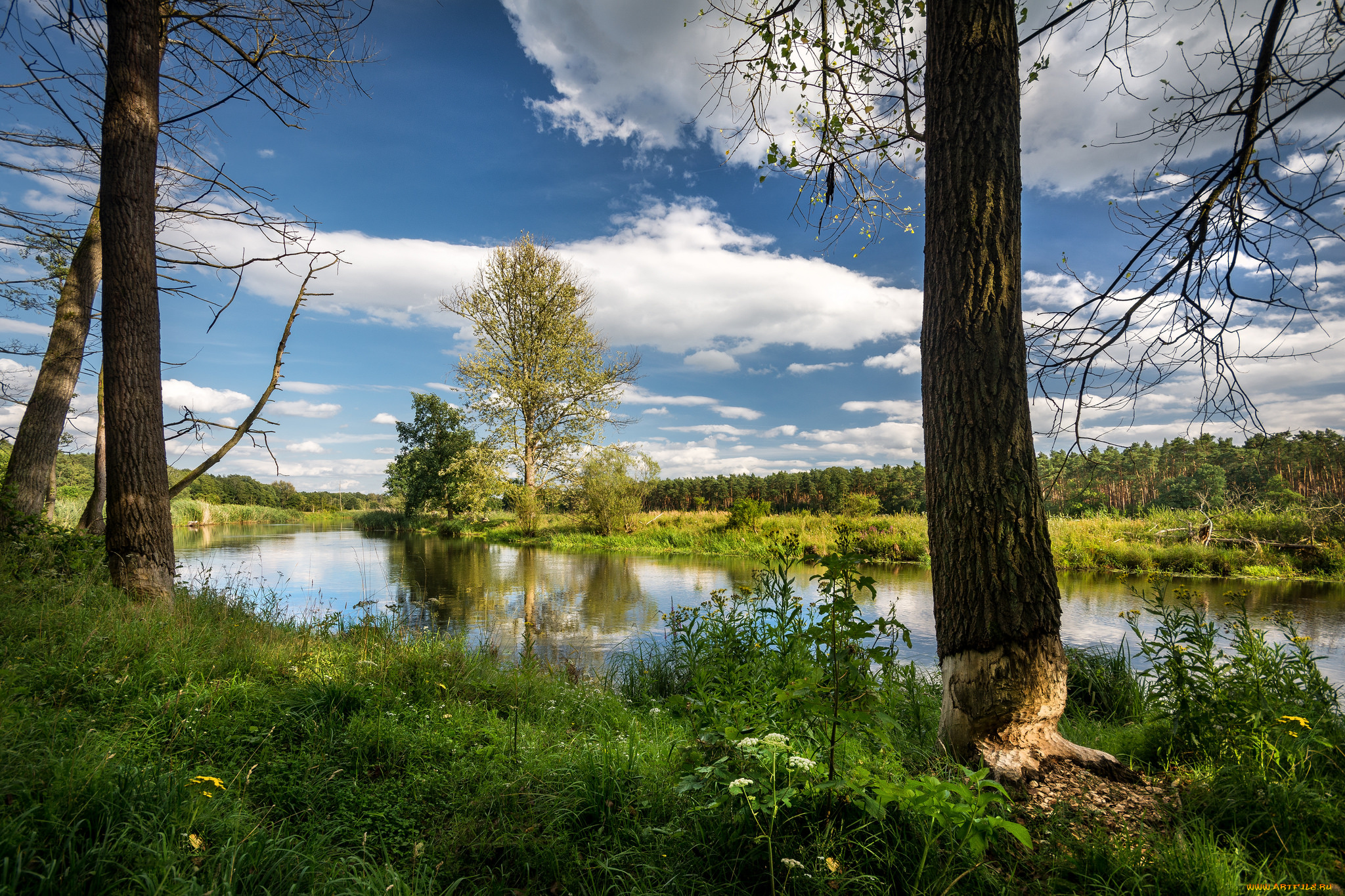 природа, реки, озера, простор