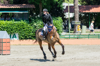 Картинка спорт конный+спорт конный наездница препятствия лошадь