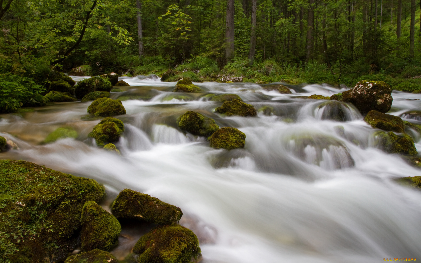 природа, реки, озера, деревья, камни, вода, лес