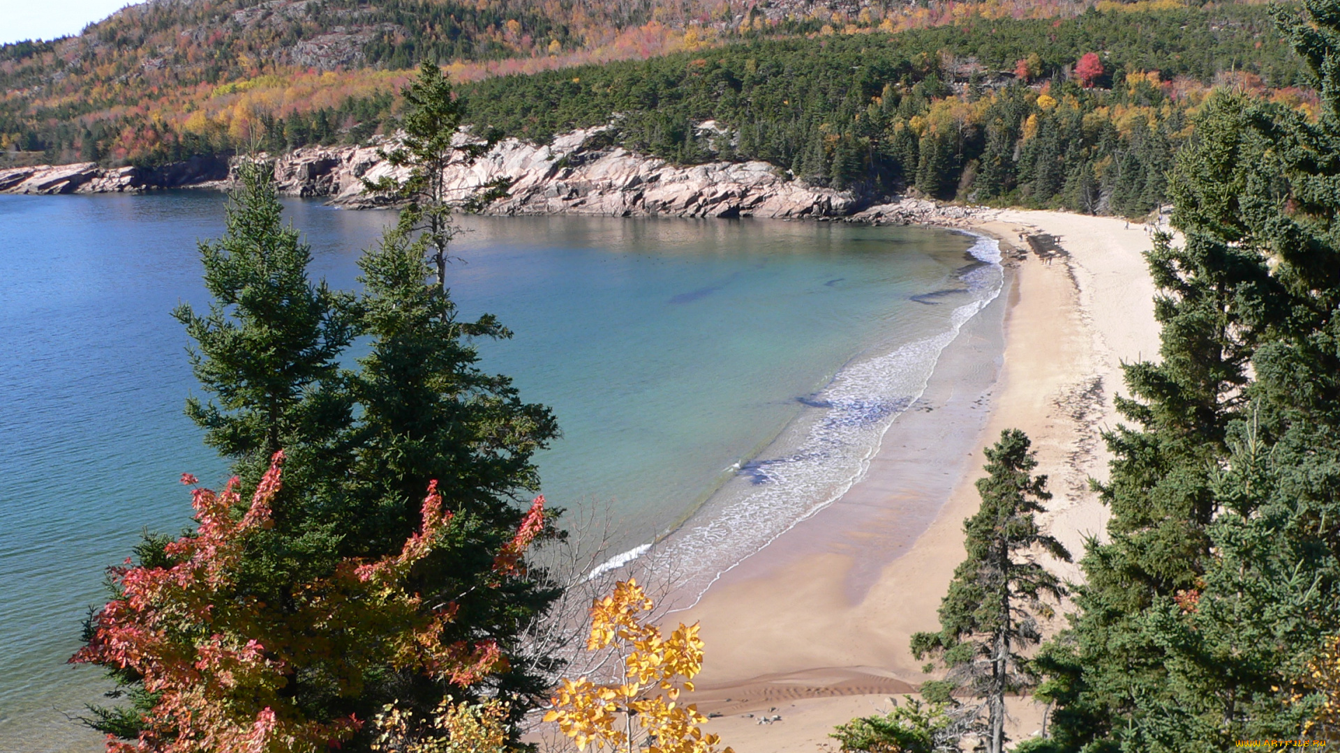 acadia, national, park, природа, побережье, заповедник