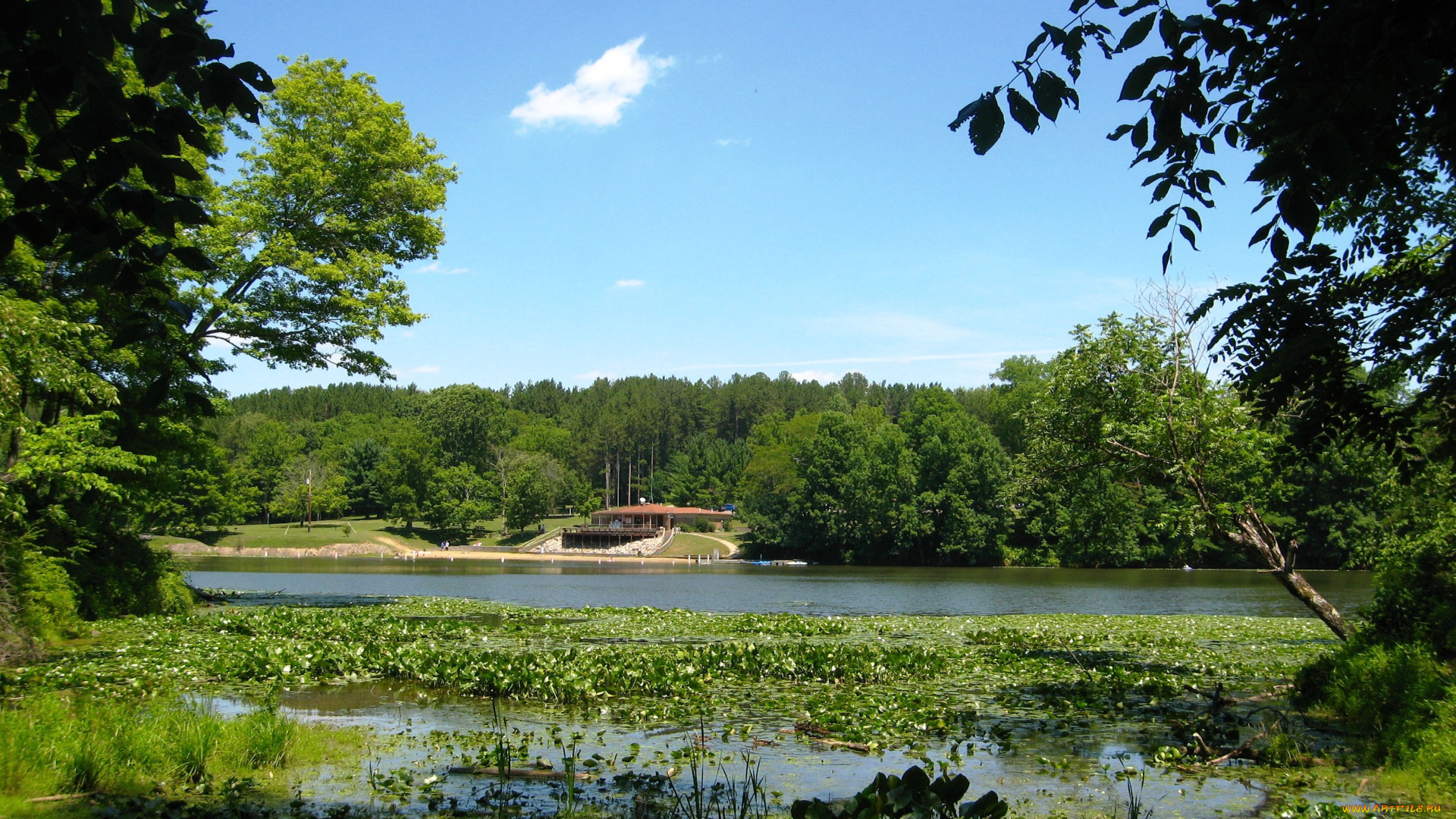 природа, парк, озеро
