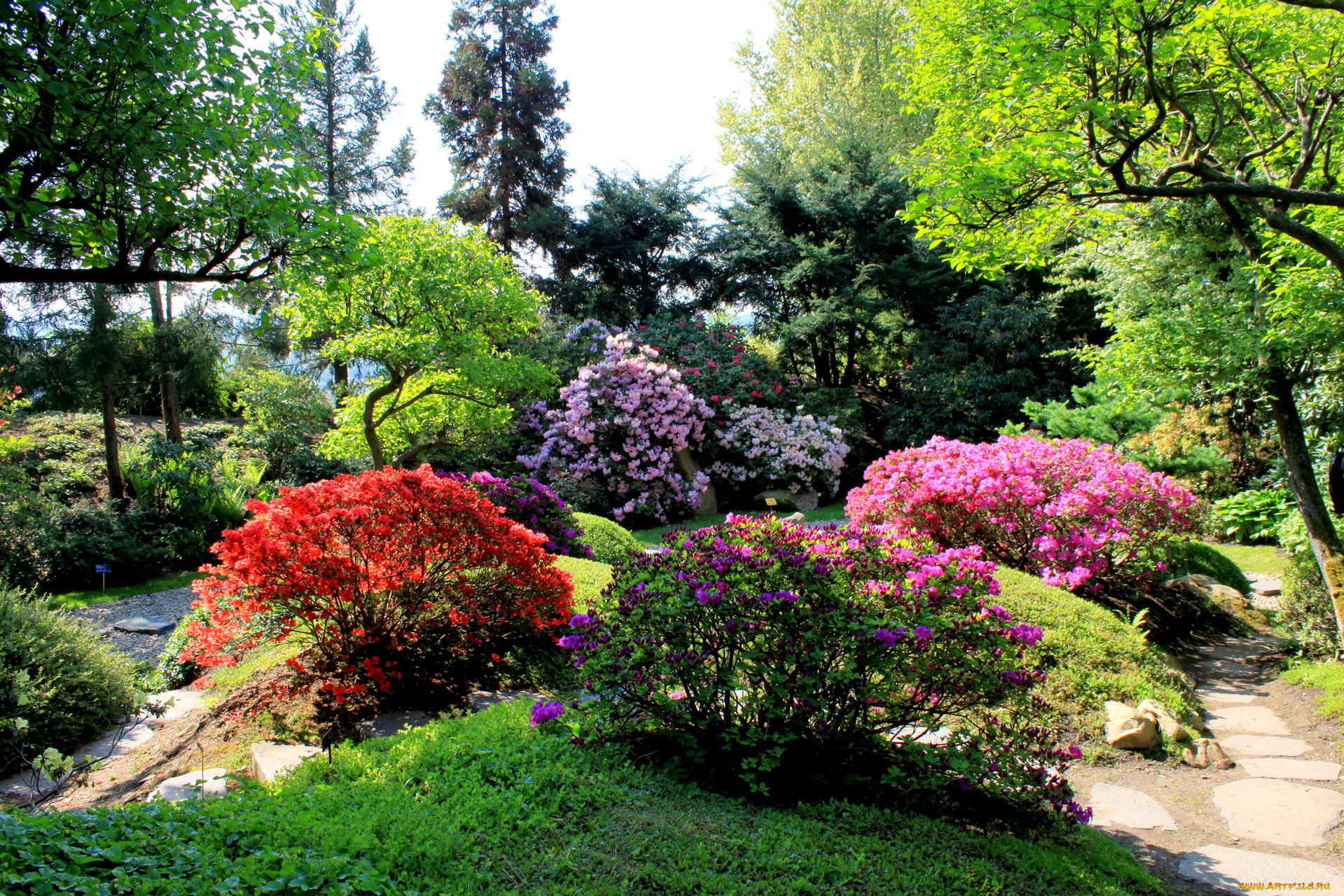 Чехия, прага, ботанический, сад, природа, парк, цветы, клумбы